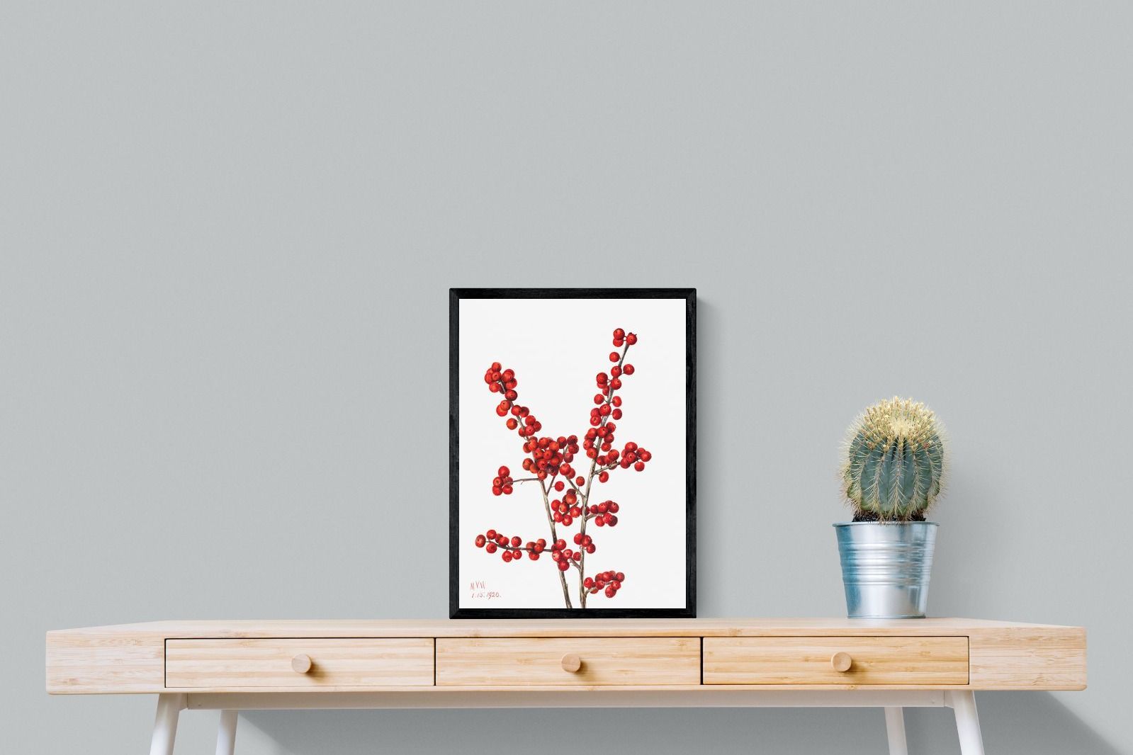 Pixalot Winterberry