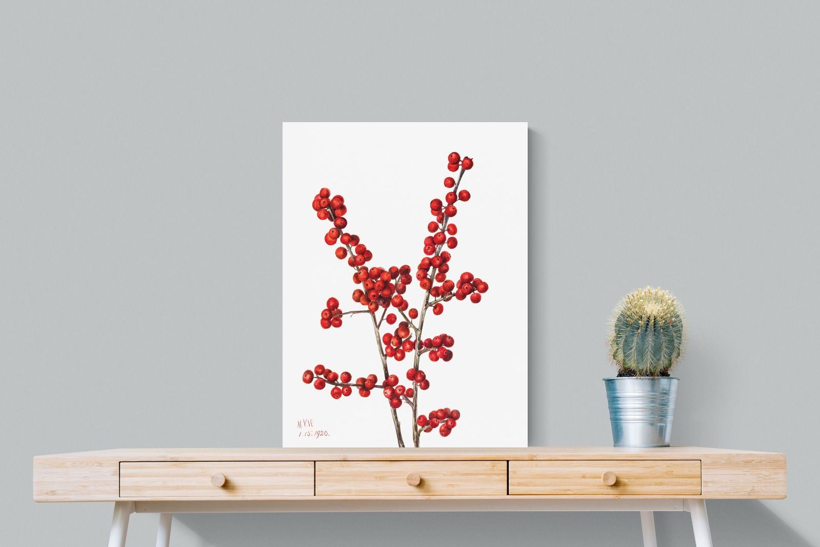 Pixalot Winterberry