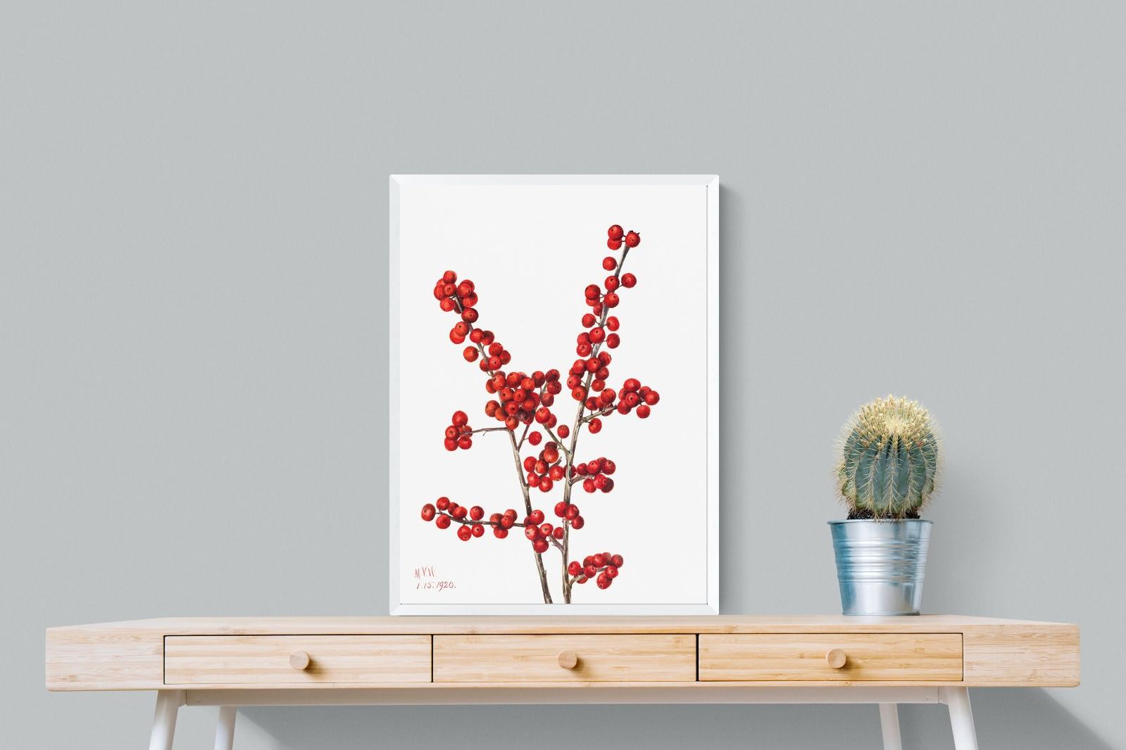 Pixalot Winterberry