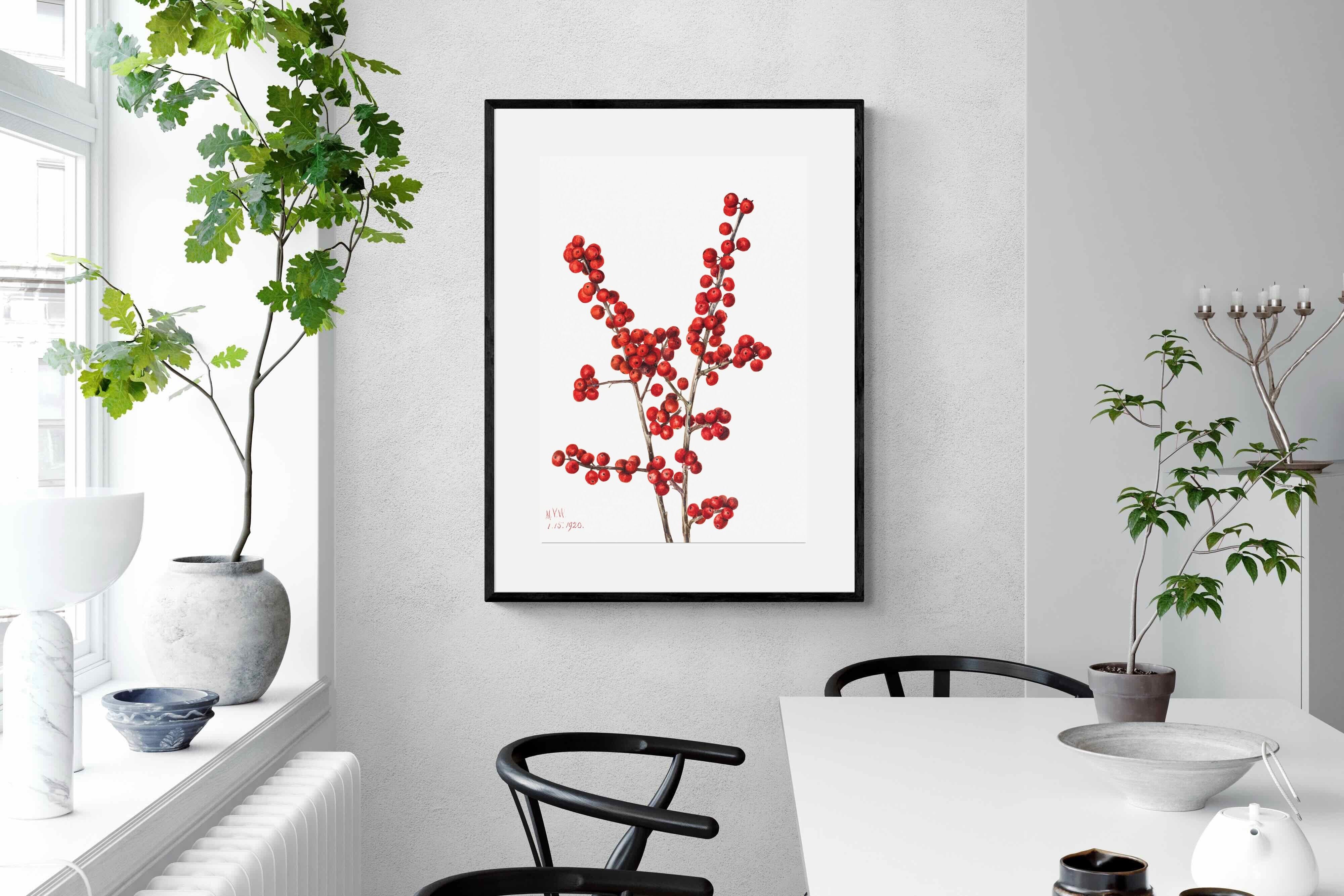 Pixalot Winterberry