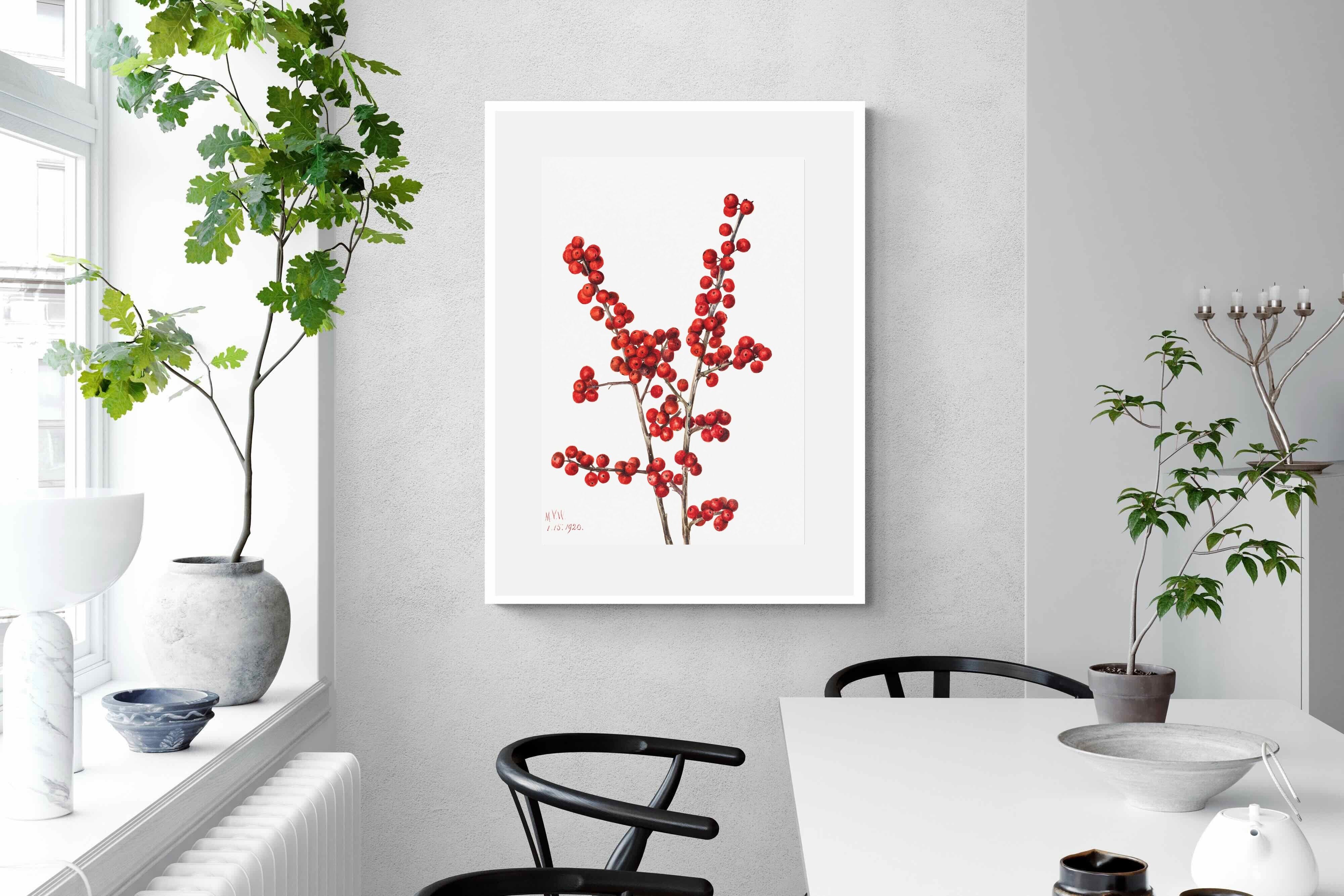 Pixalot Winterberry