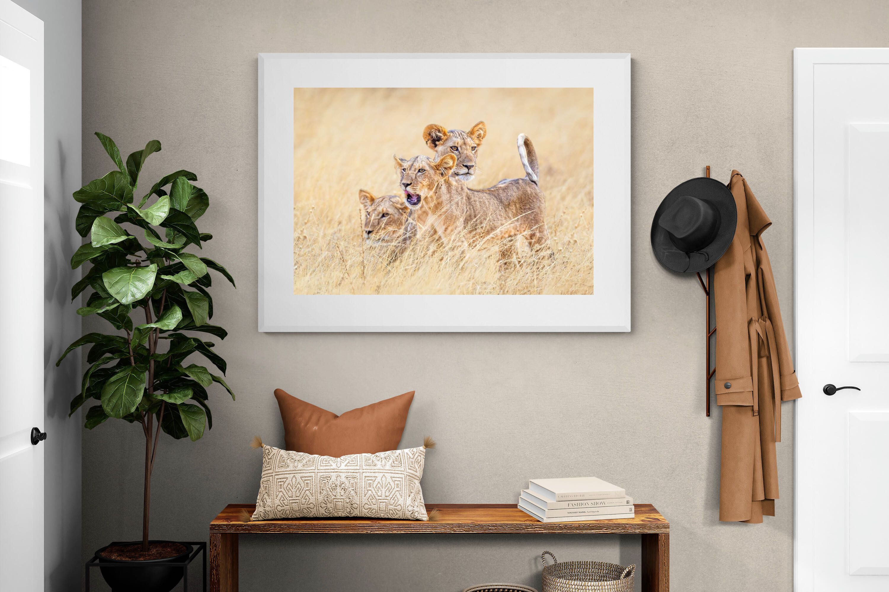 Pixalot Young Royals