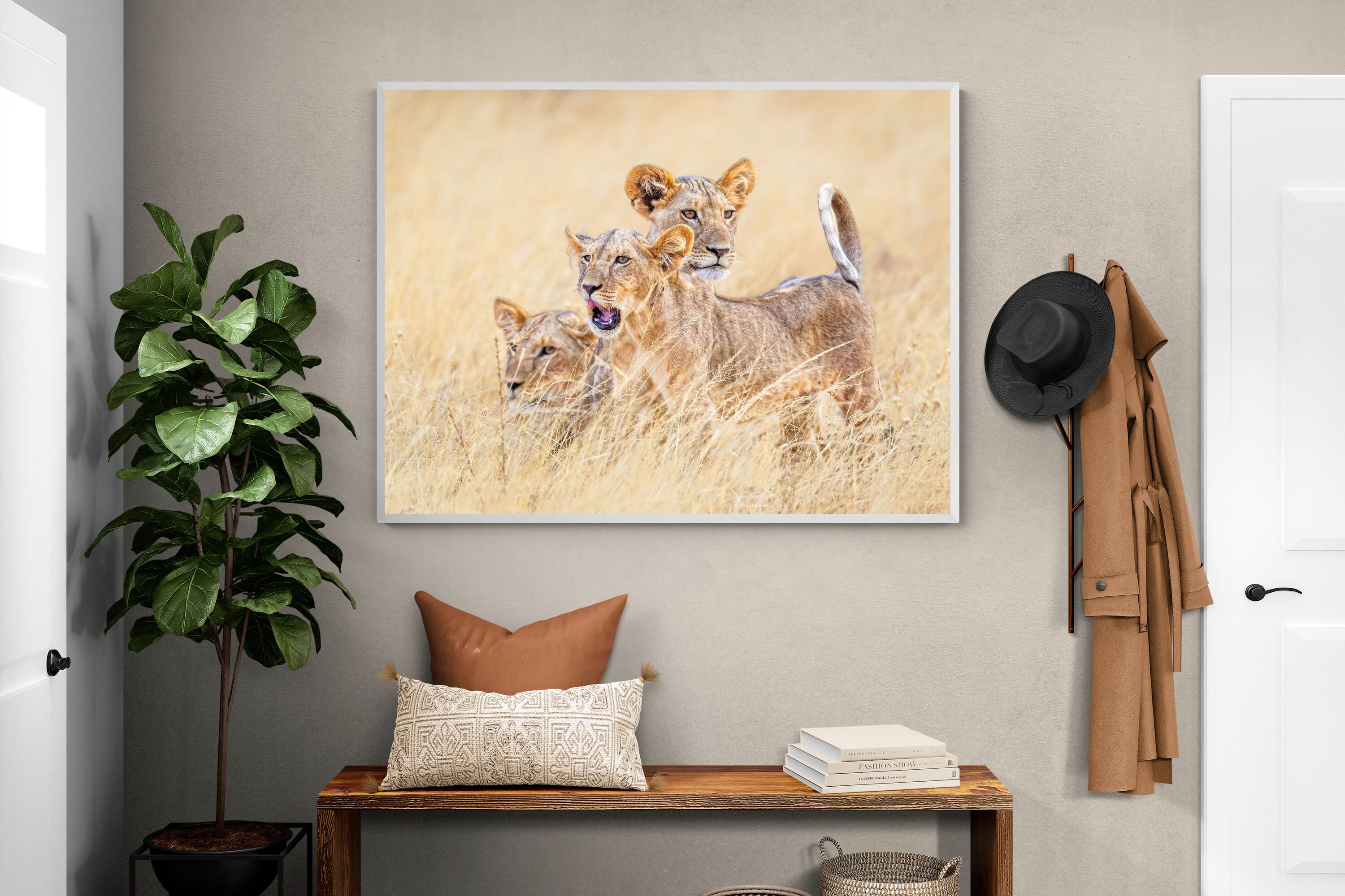 Pixalot Young Royals