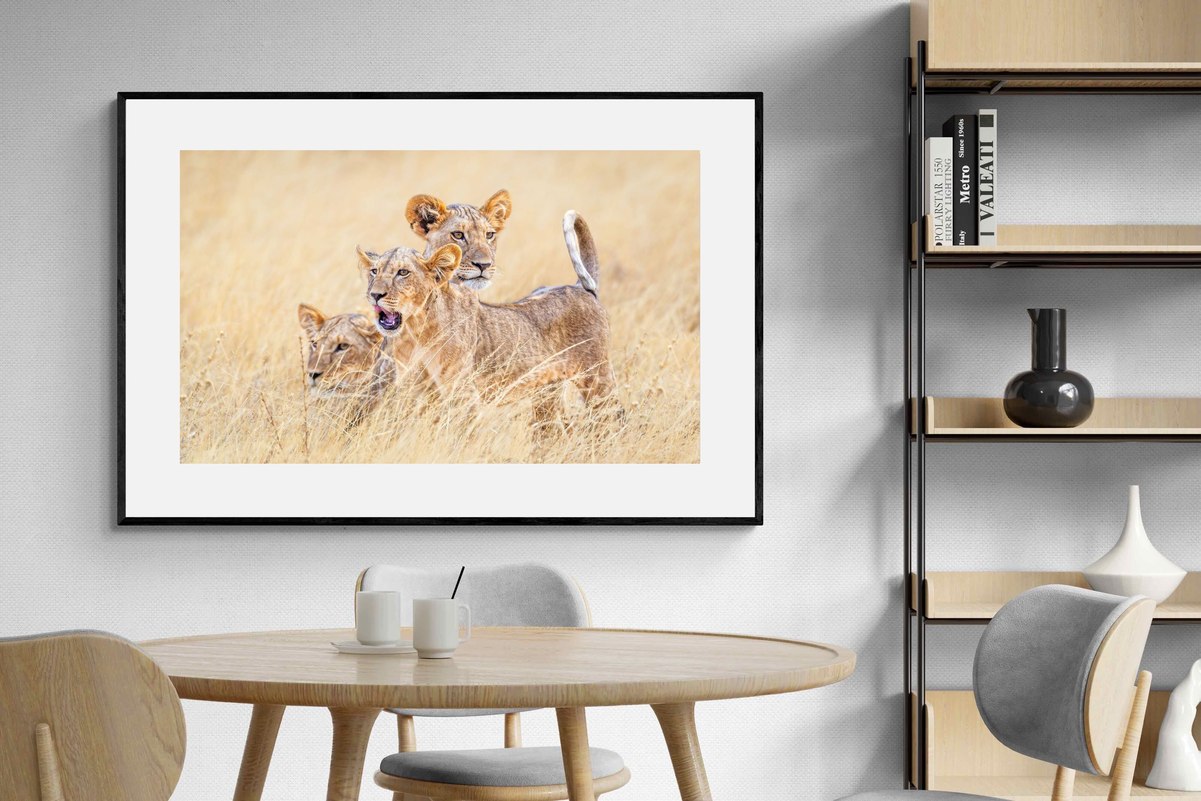 Pixalot Young Royals