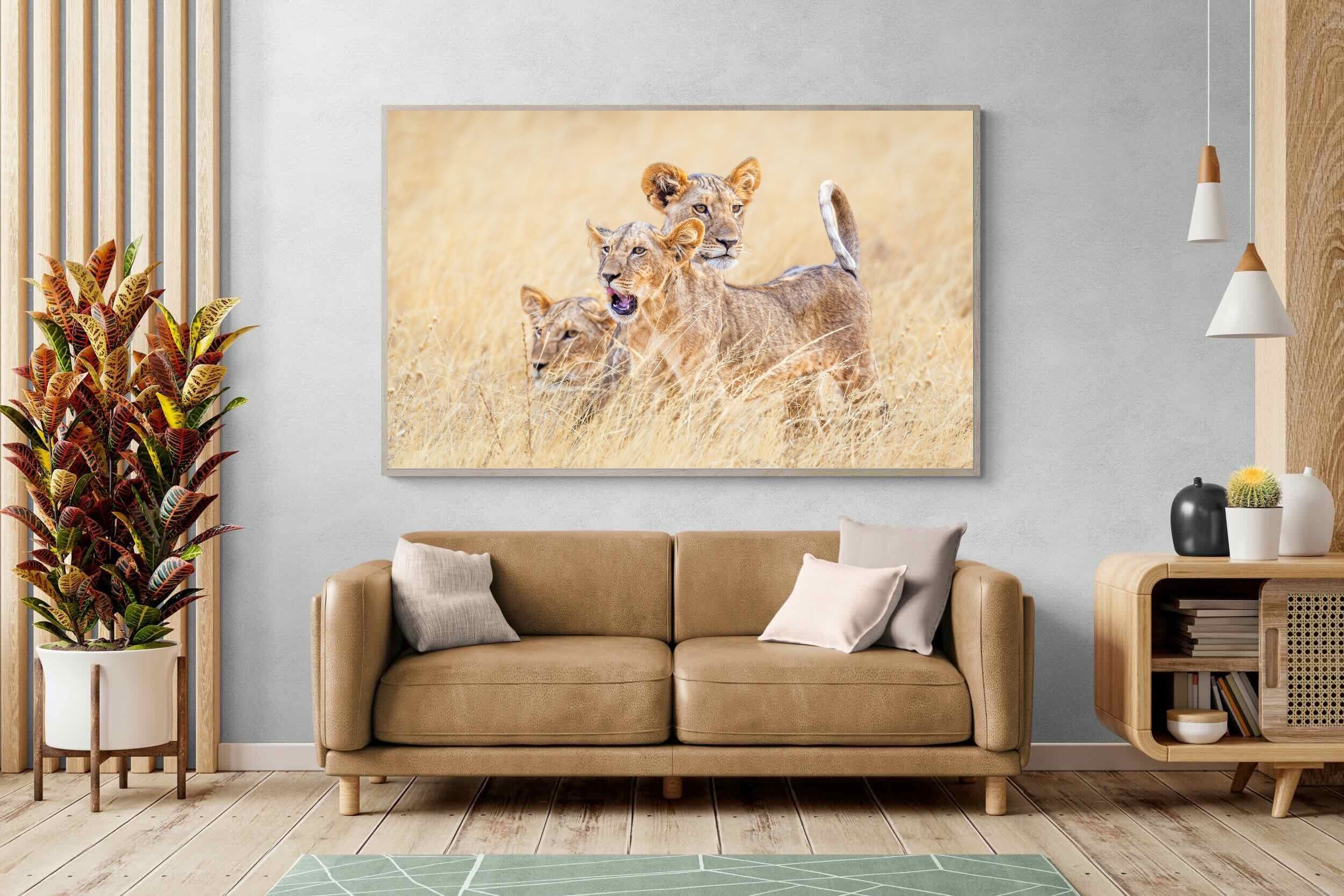 Pixalot Young Royals