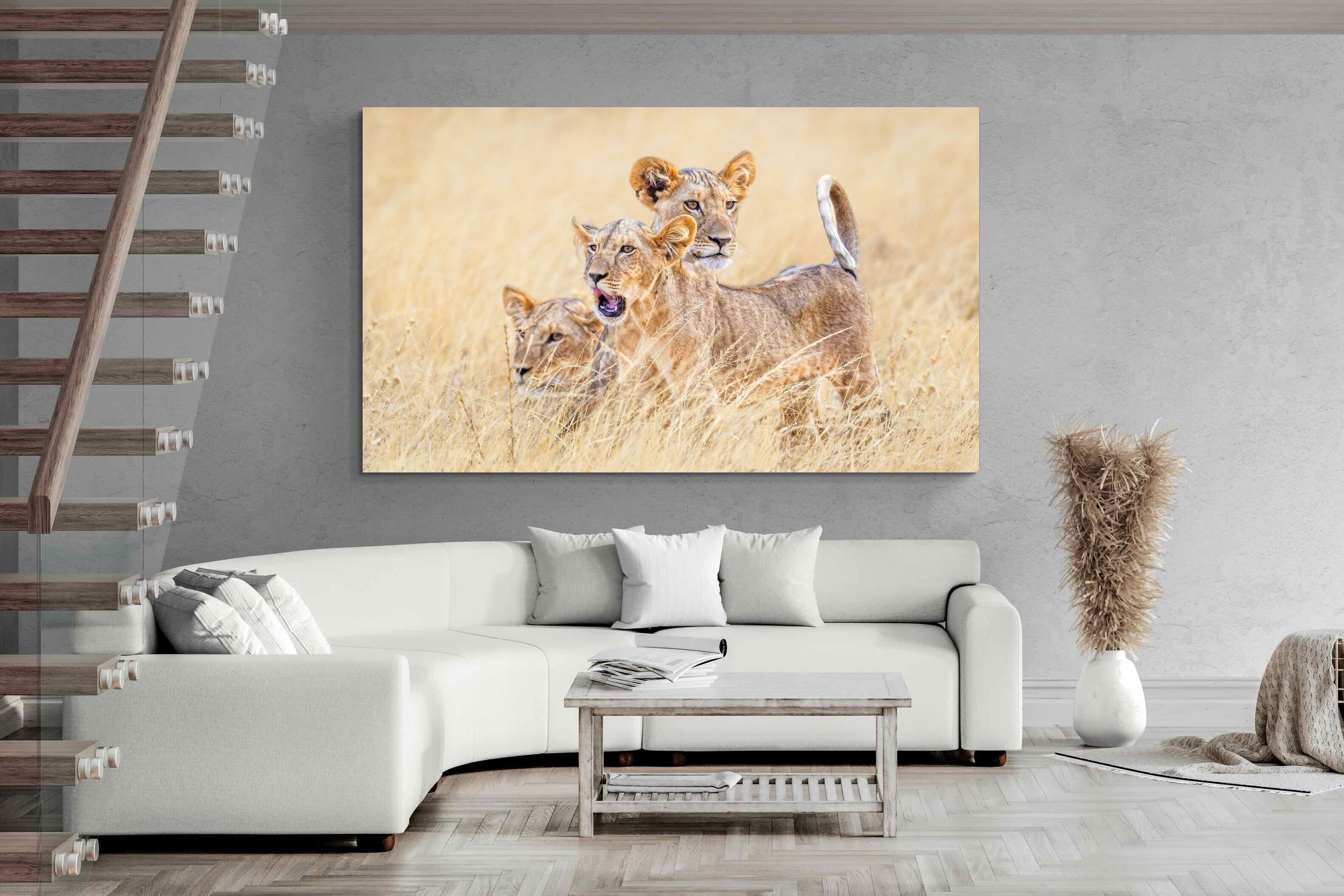 Pixalot Young Royals