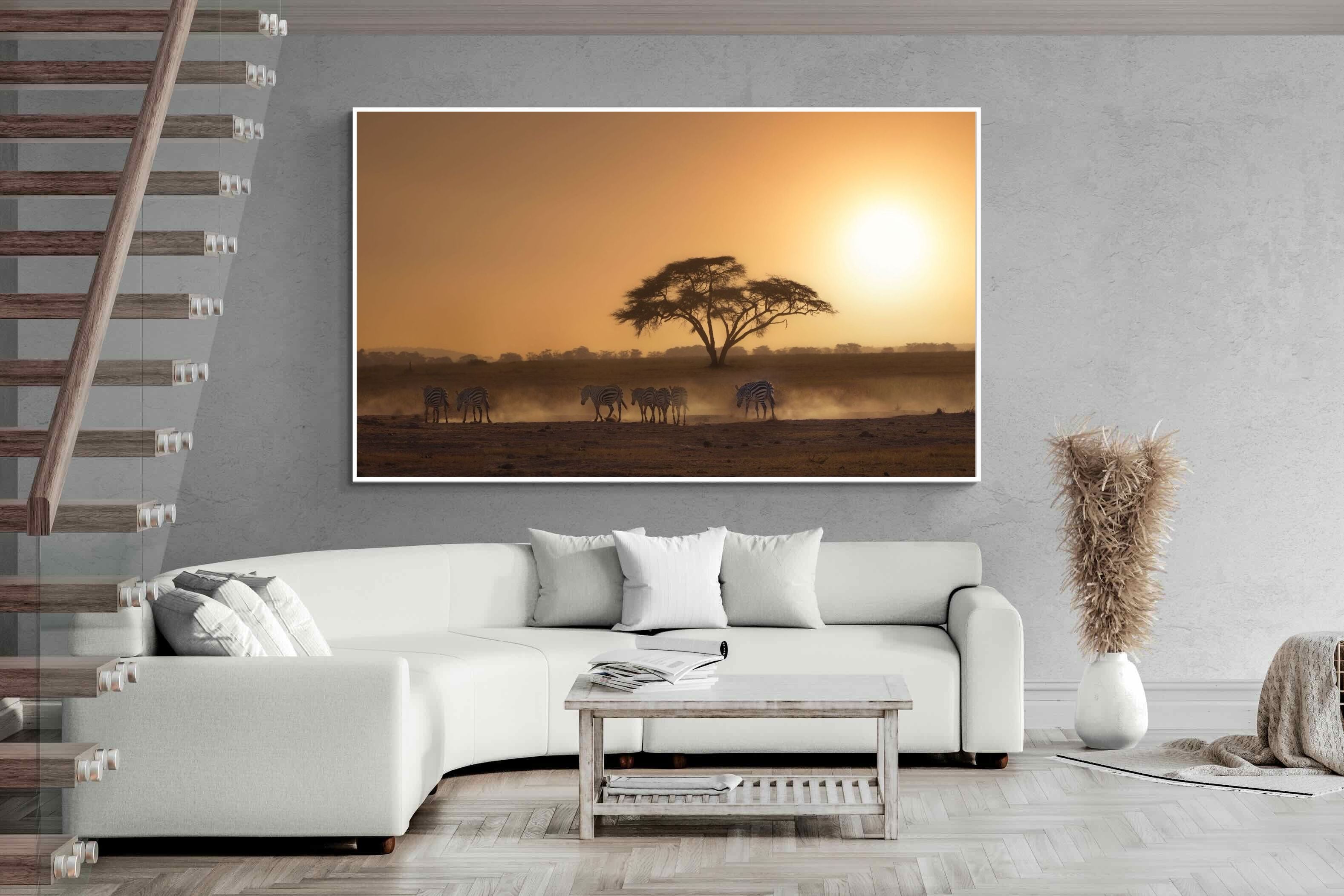 Pixalot Zebra at Dusk