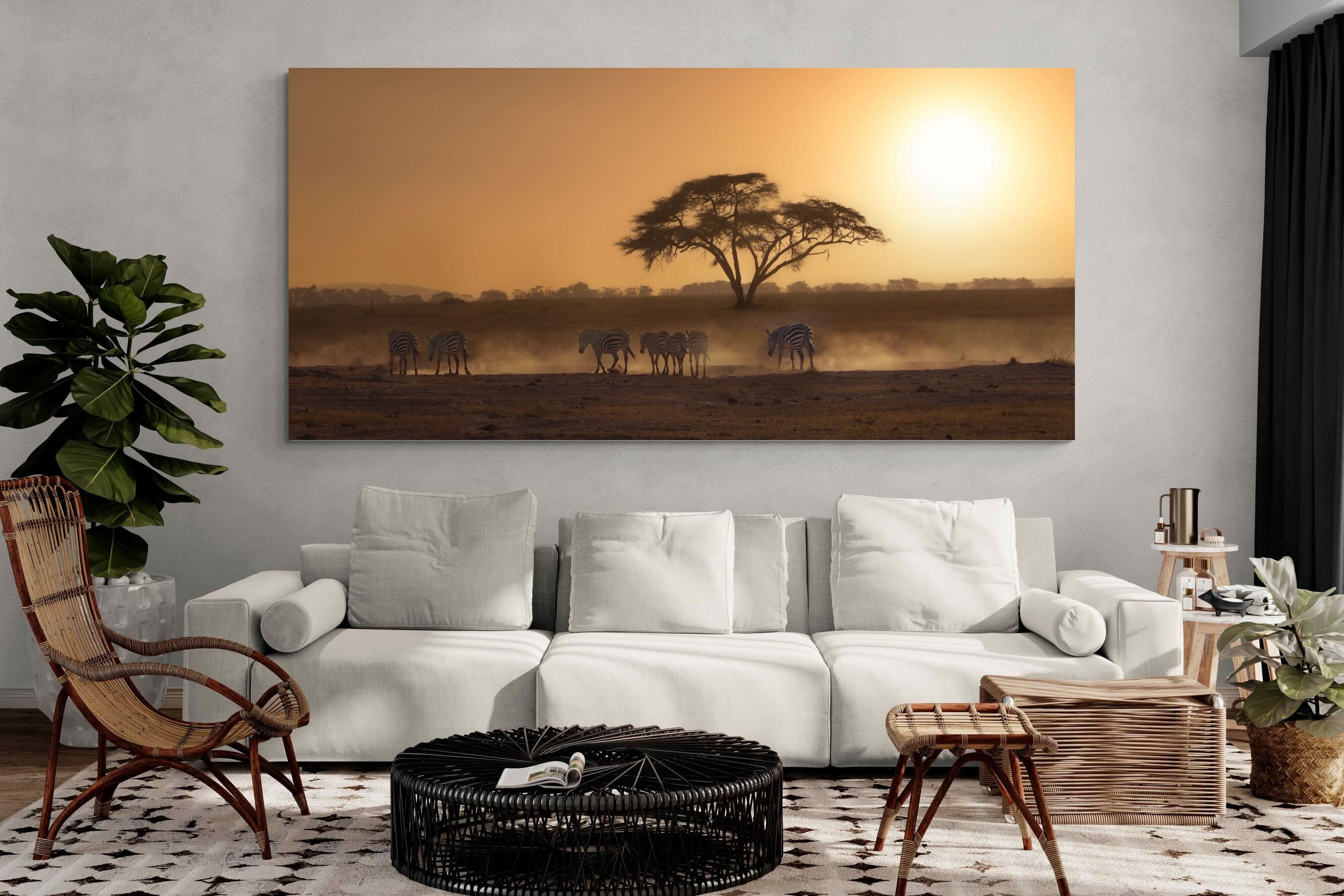 Pixalot Zebra at Dusk