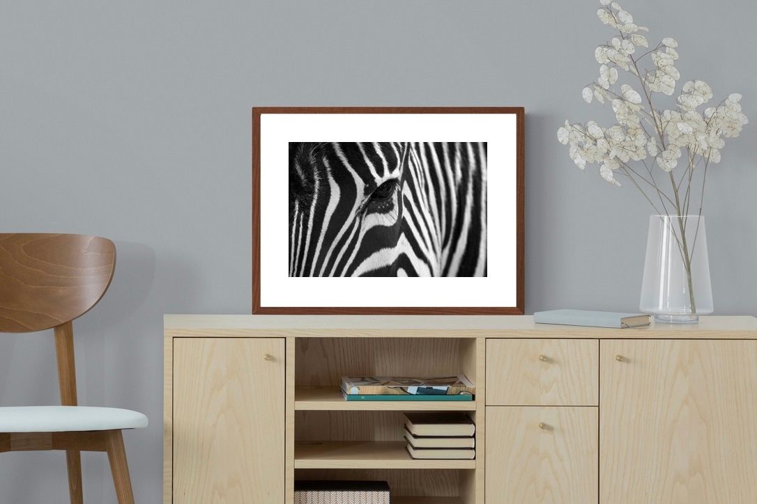 Pixalot ® Zebra Eye