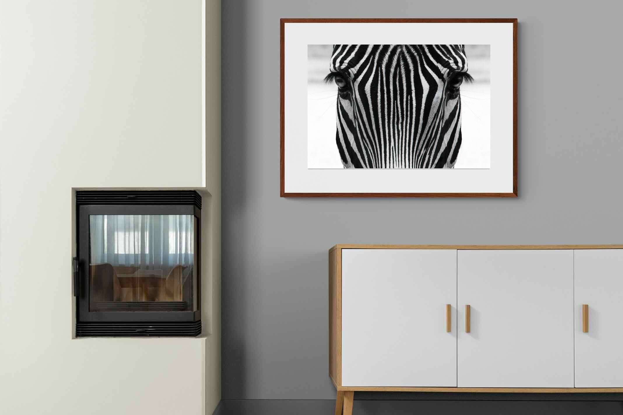 Pixalot Zebra Gaze
