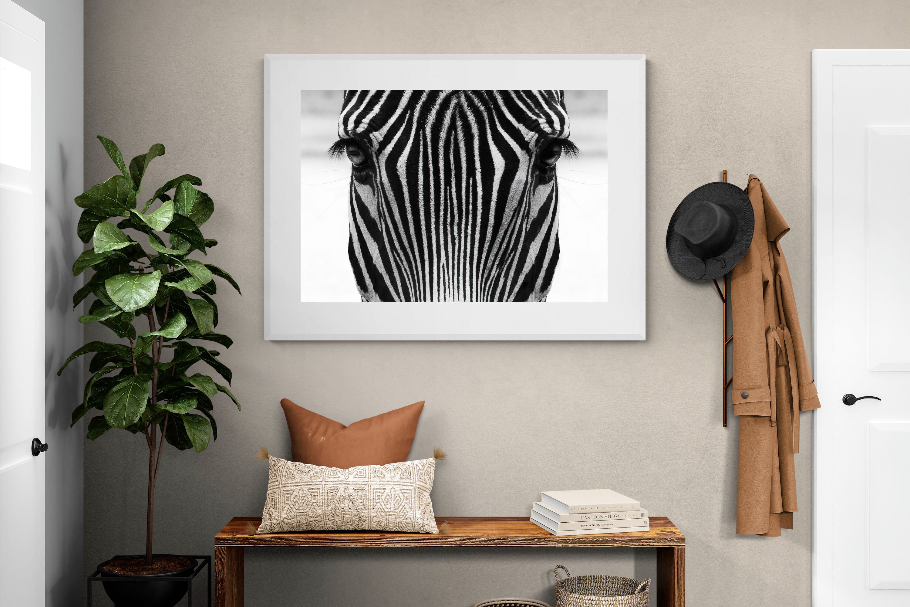 Pixalot Zebra Gaze