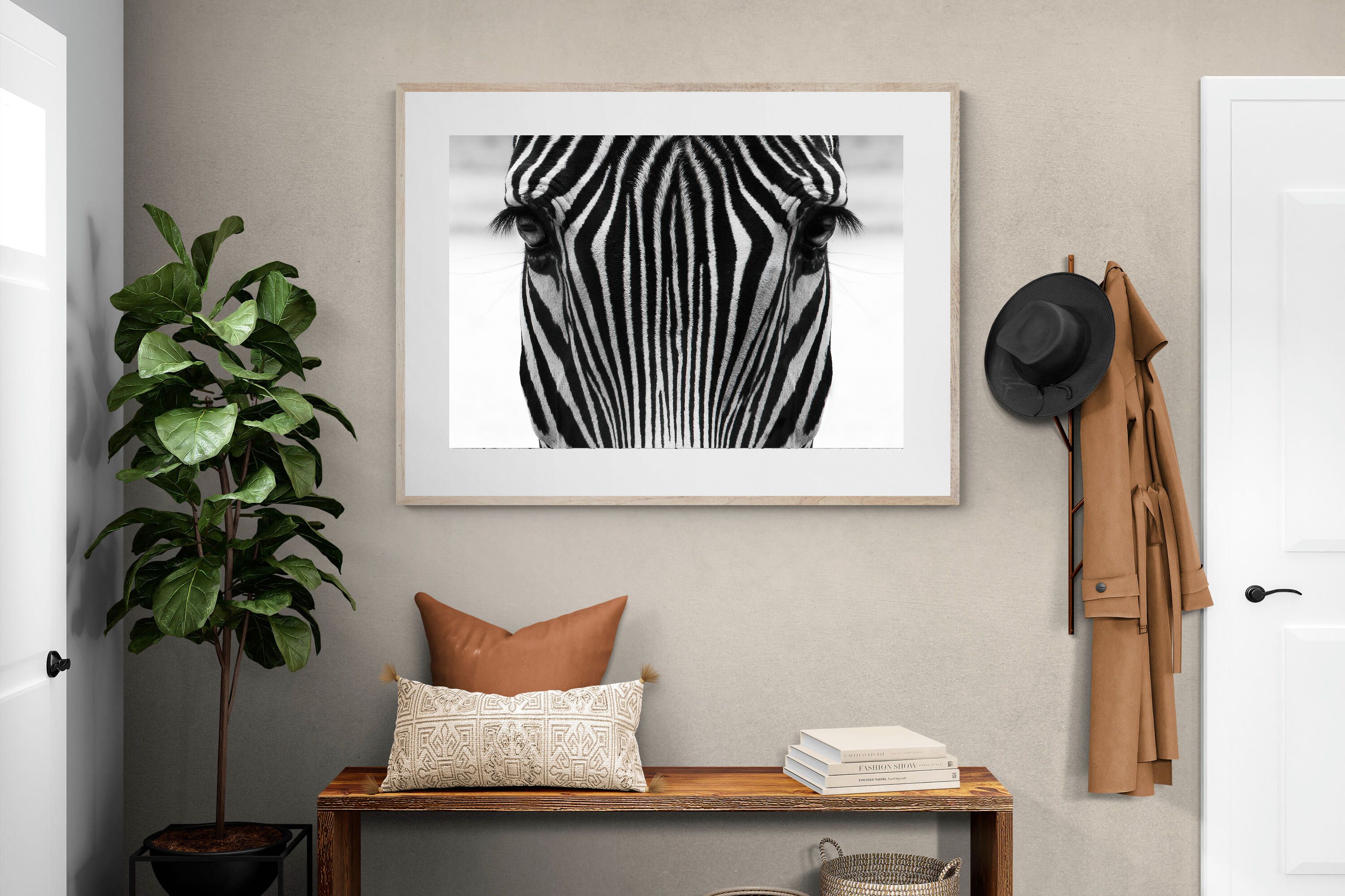Pixalot Zebra Gaze