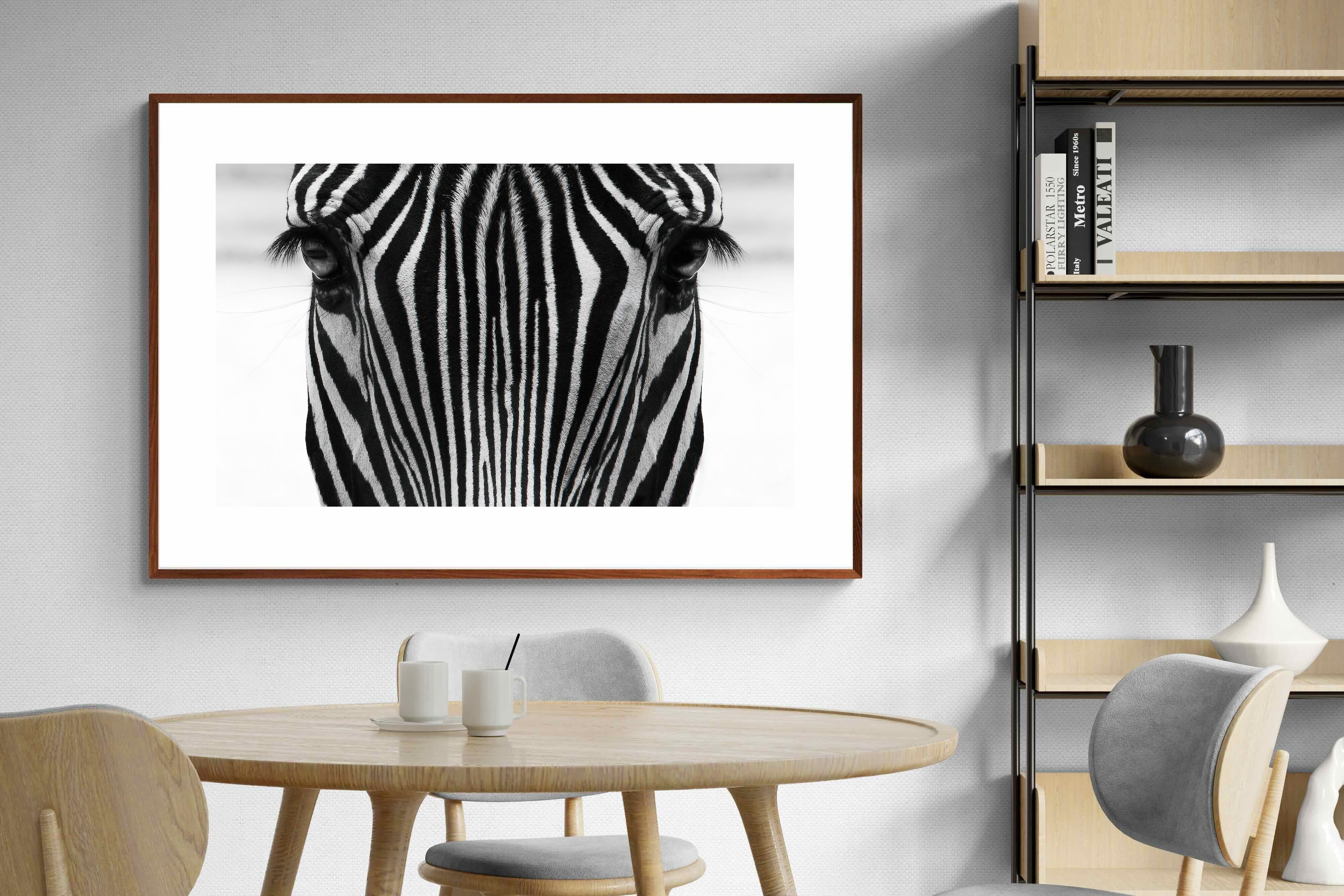 Pixalot Zebra Gaze