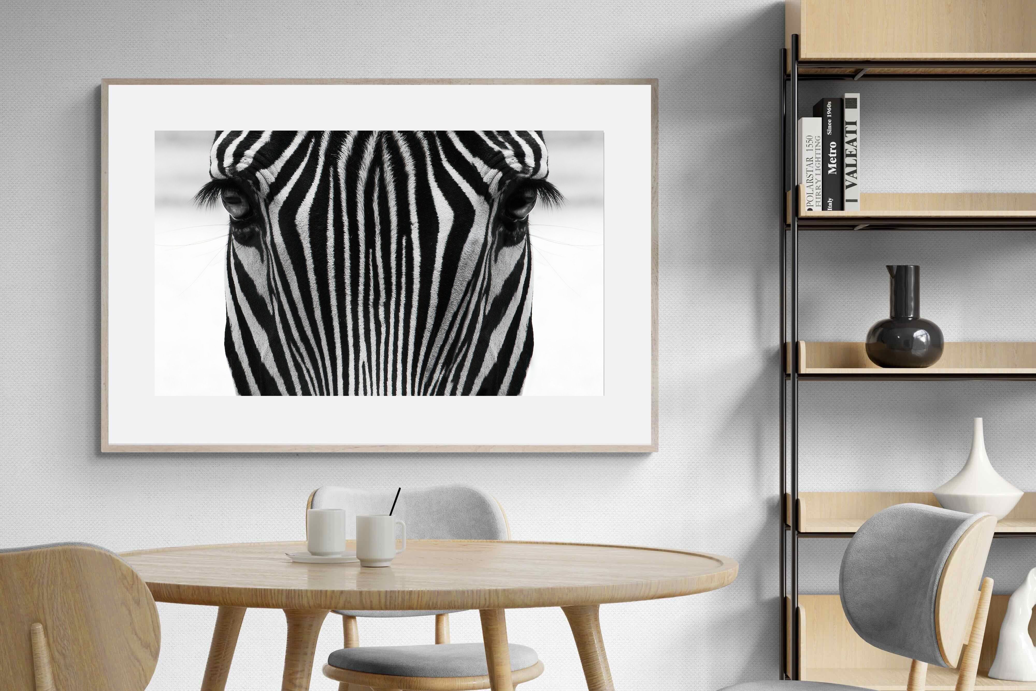 Pixalot Zebra Gaze