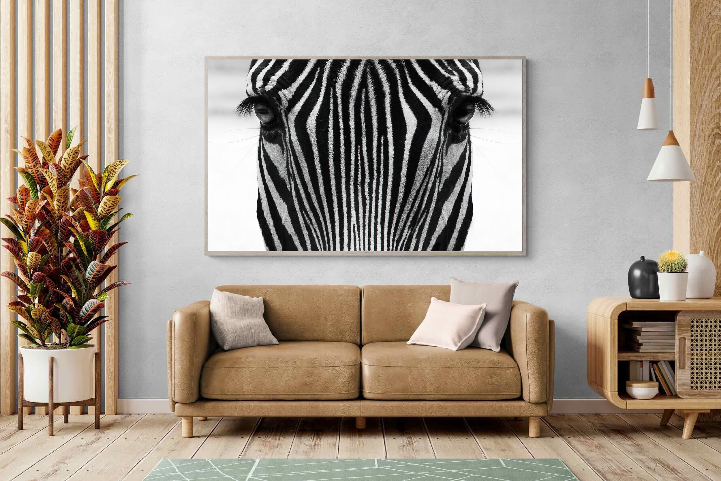 Pixalot Zebra Gaze
