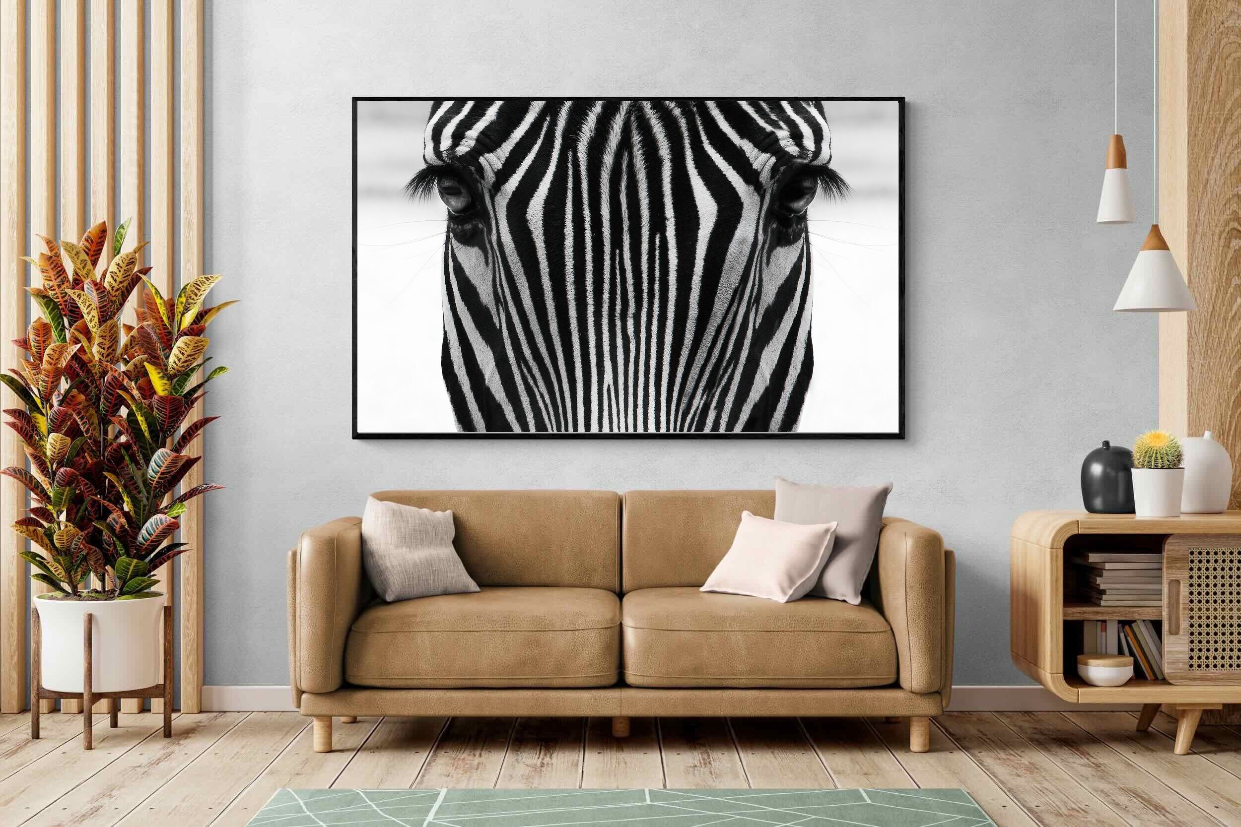 Pixalot Zebra Gaze