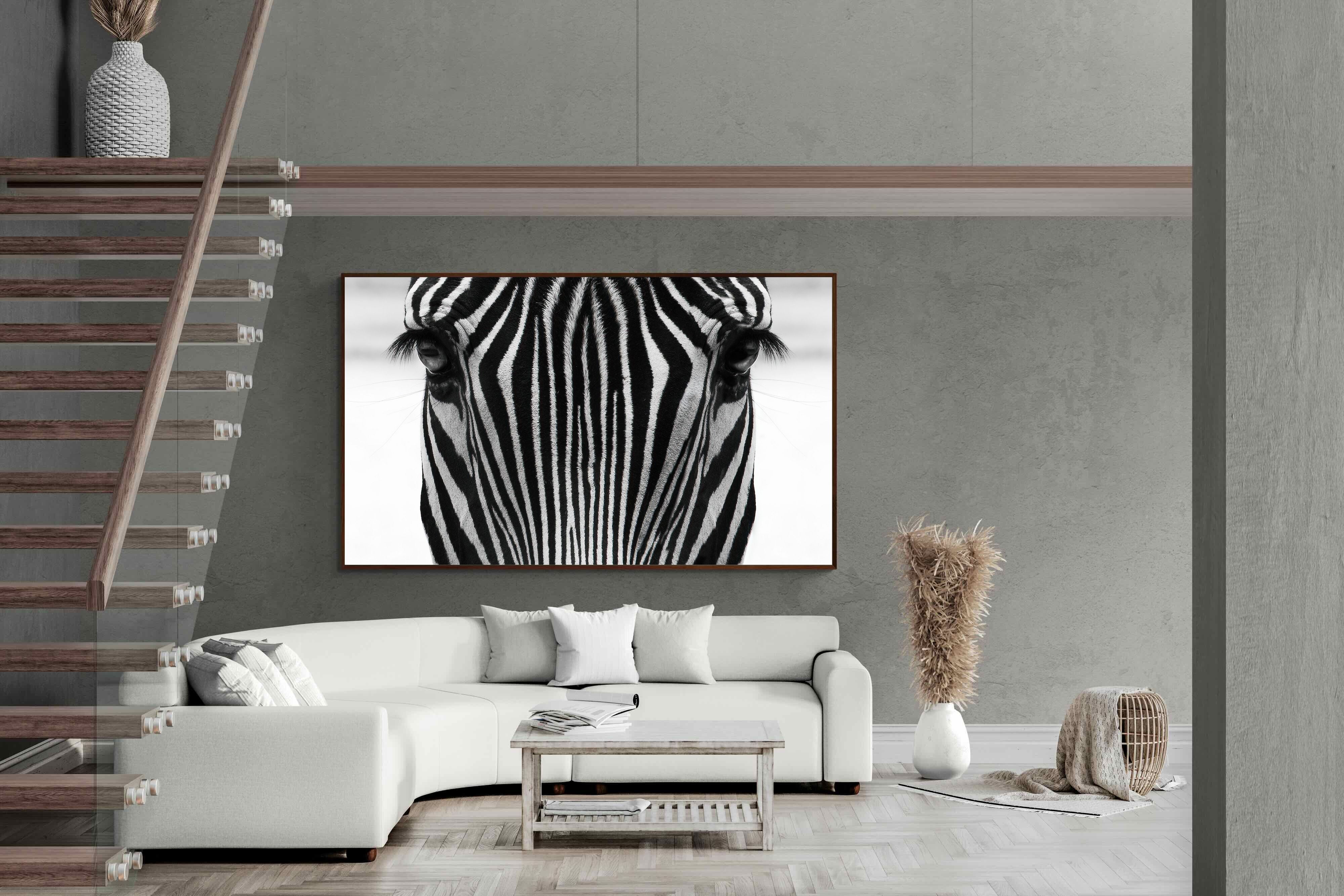 Pixalot Zebra Gaze