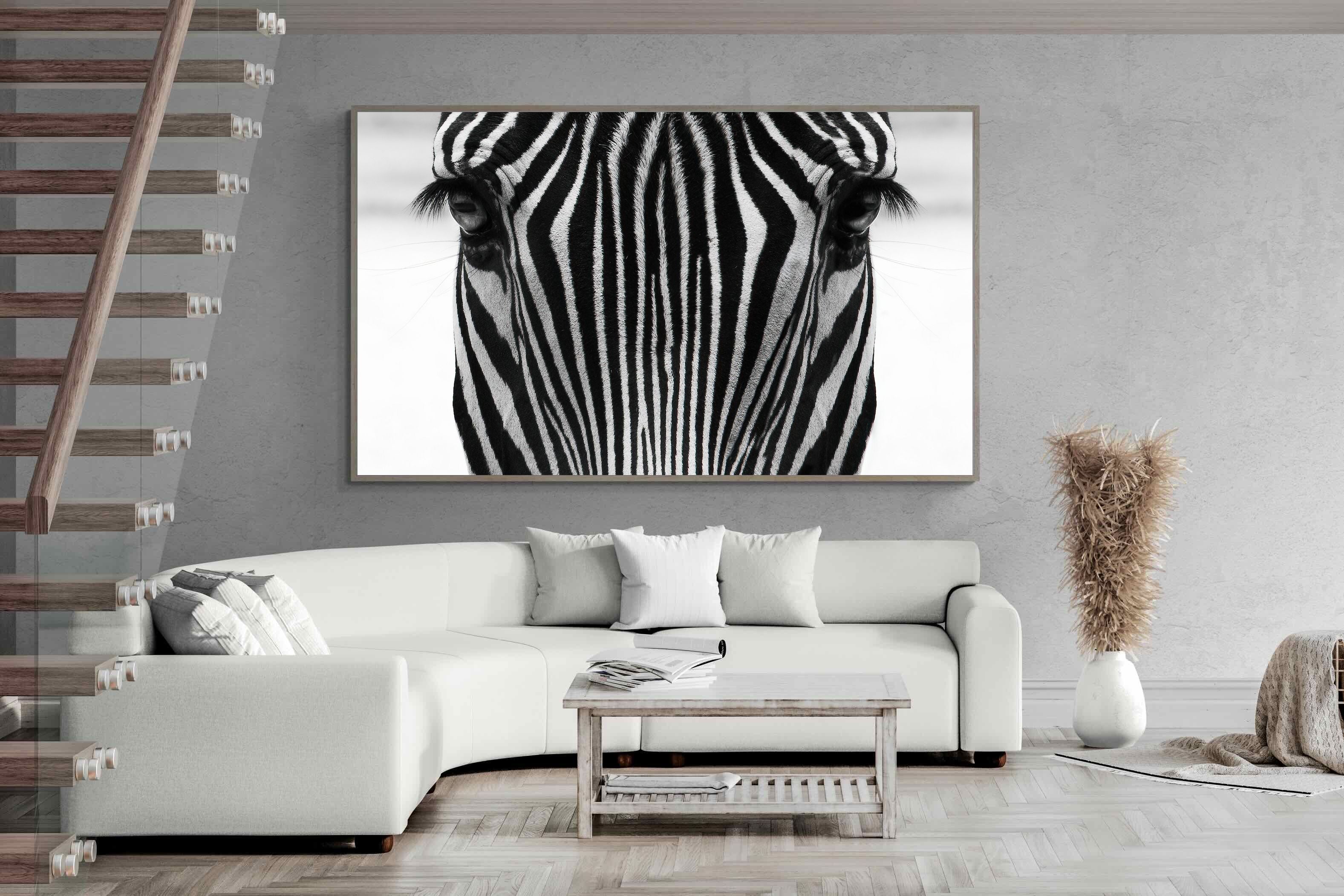 Pixalot Zebra Gaze