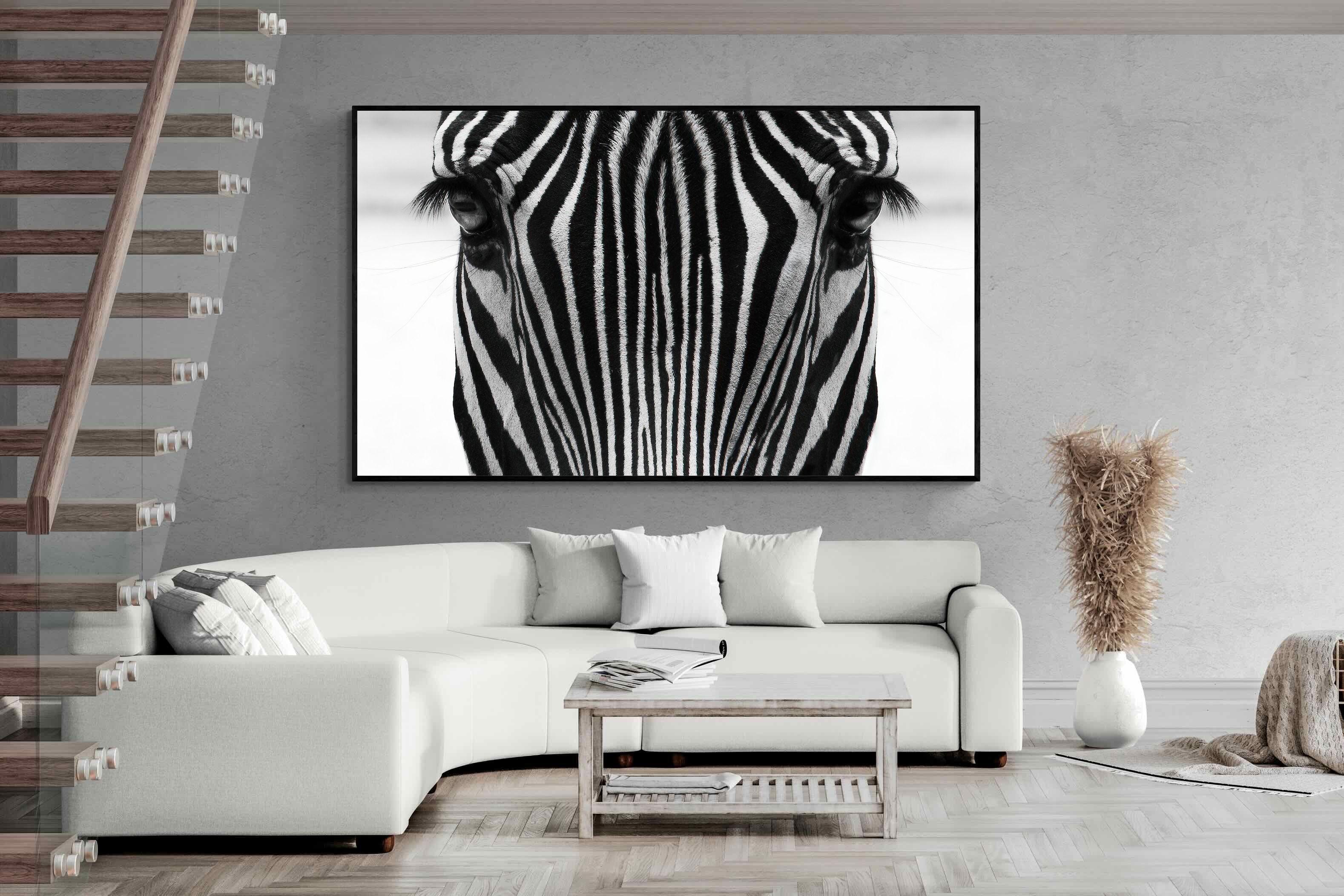 Pixalot Zebra Gaze