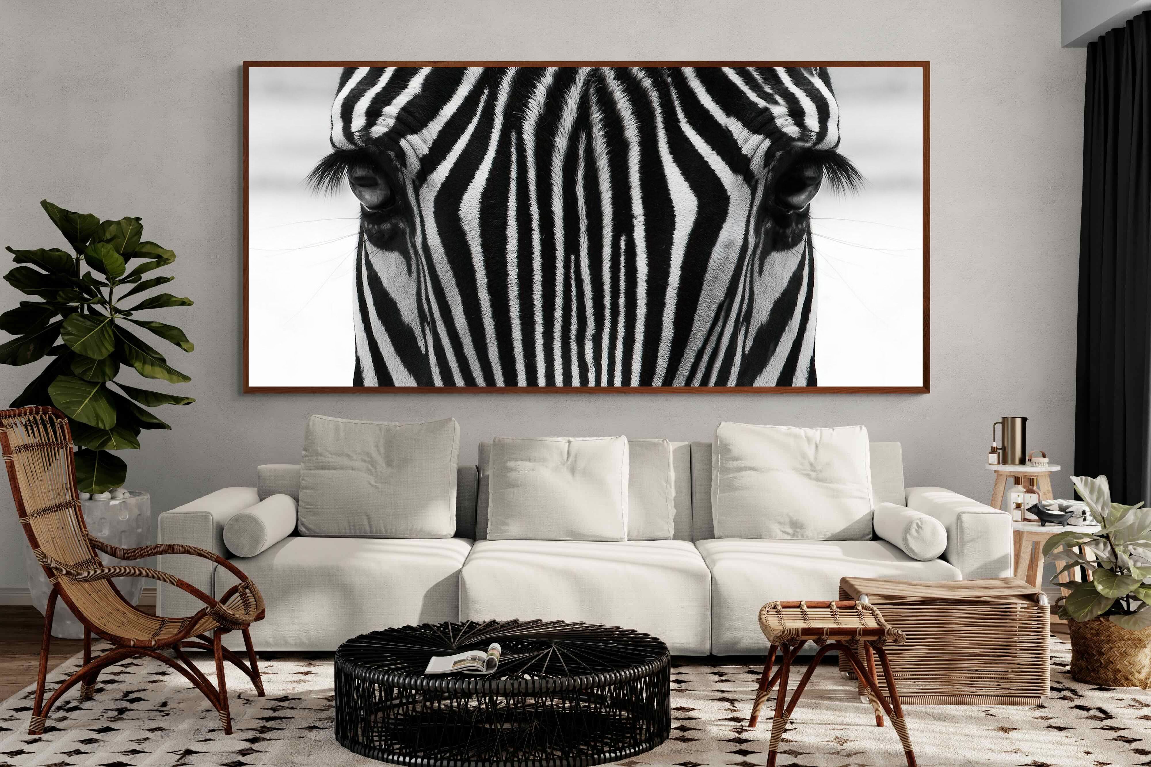 Pixalot Zebra Gaze
