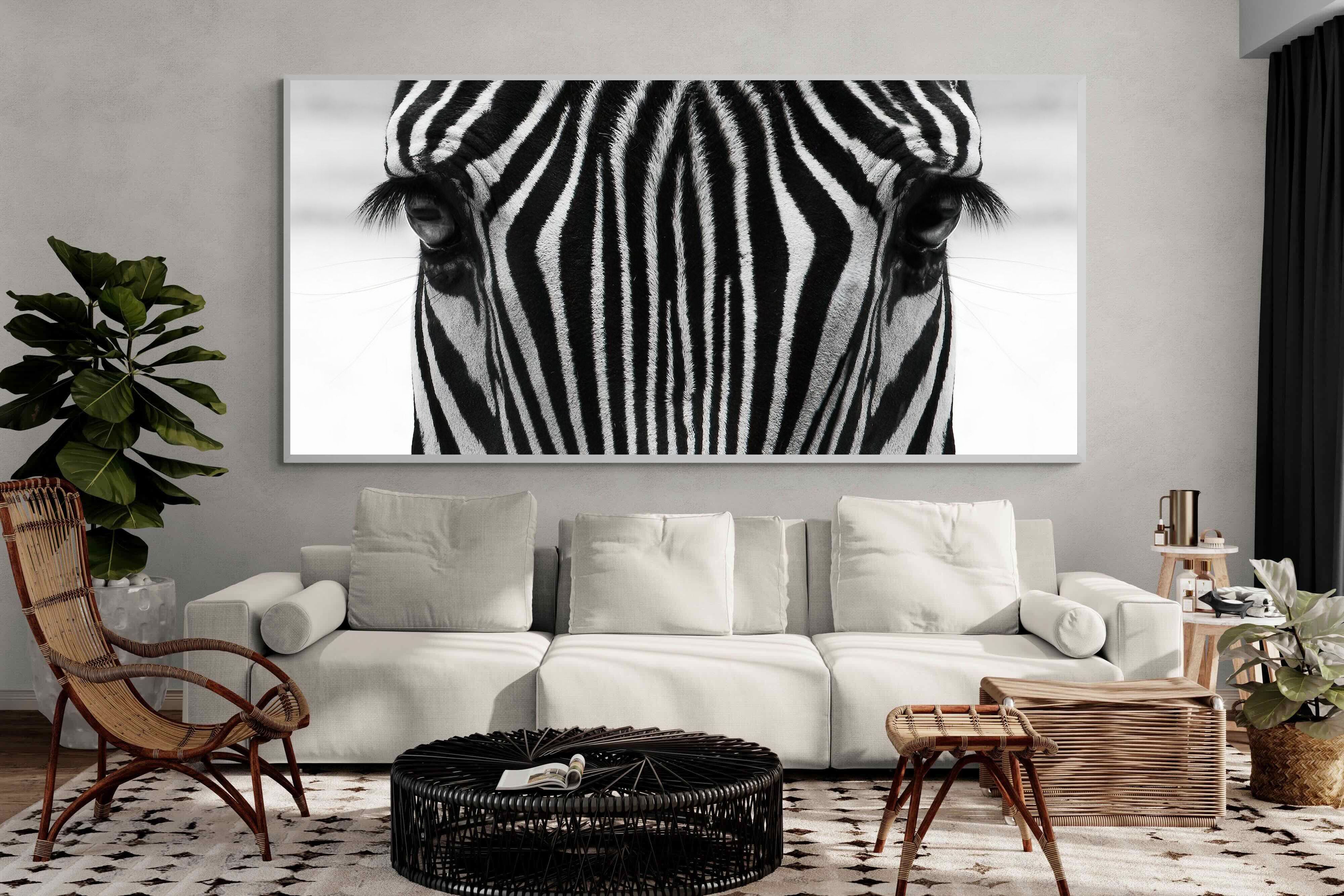 Pixalot Zebra Gaze