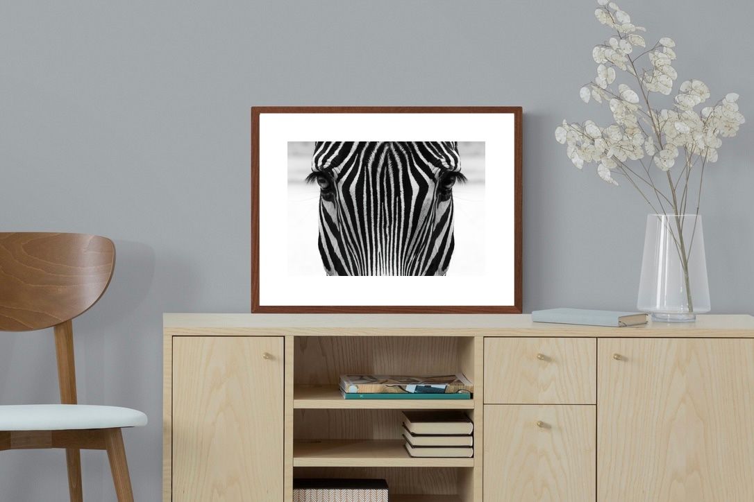 Pixalot Zebra Gaze