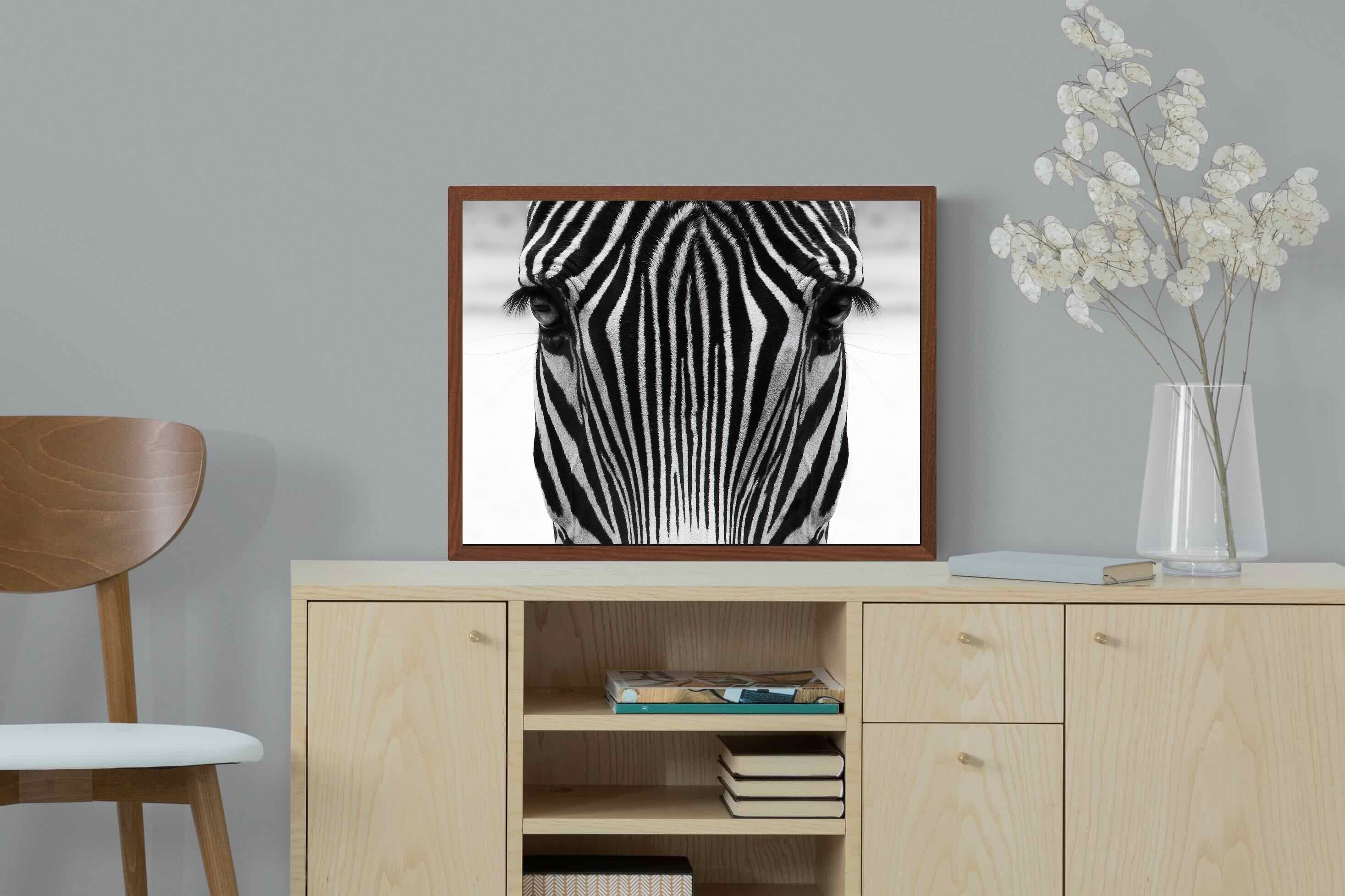 Pixalot Zebra Gaze