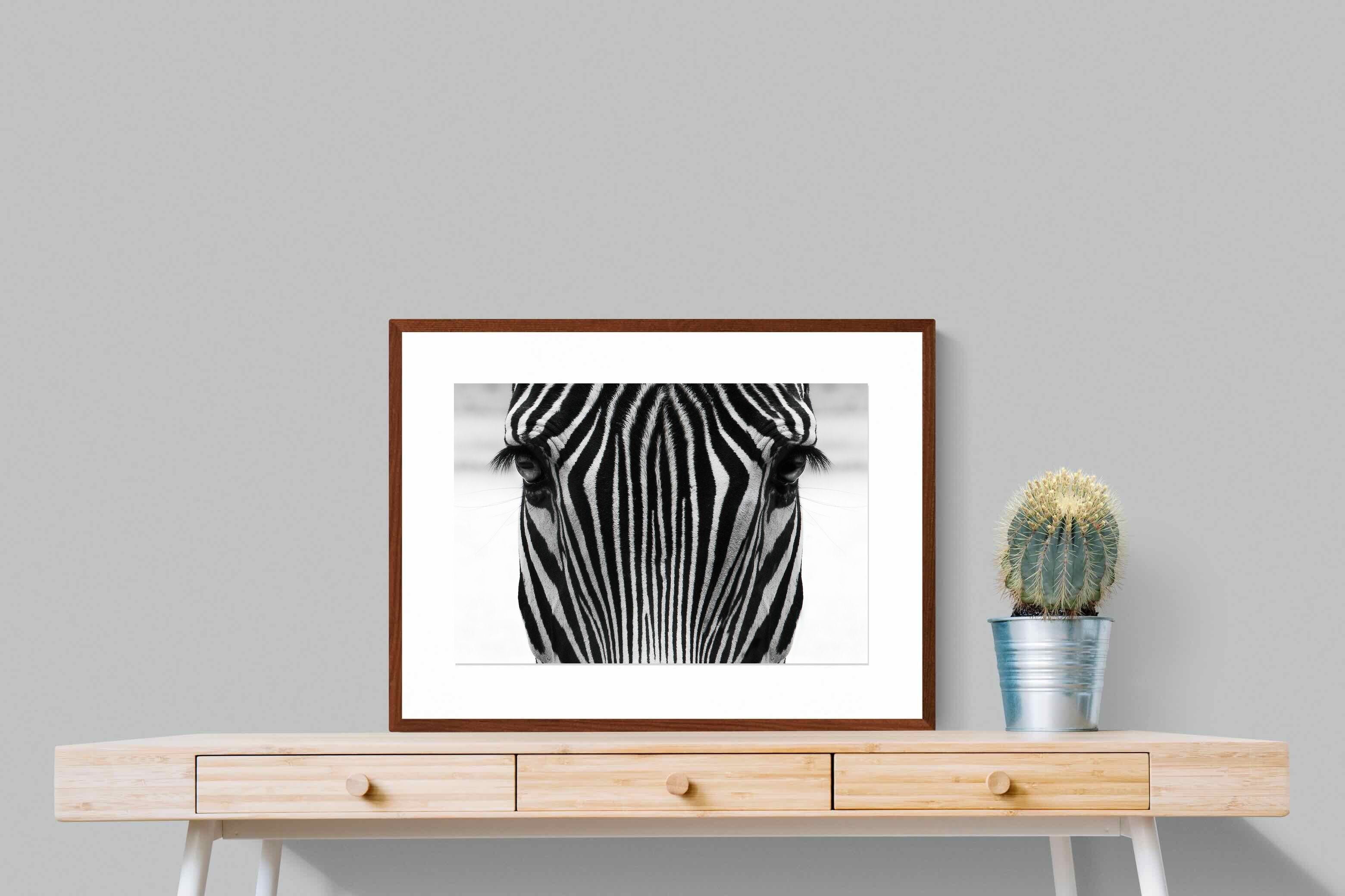 Pixalot Zebra Gaze