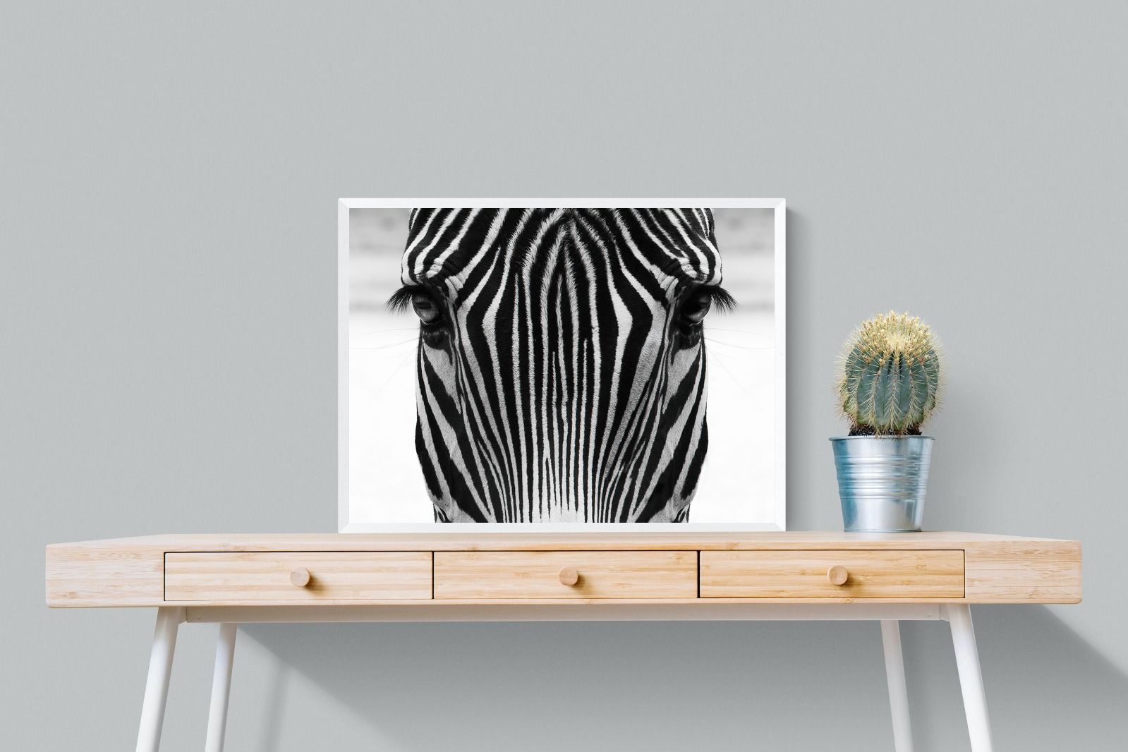 Pixalot Zebra Gaze