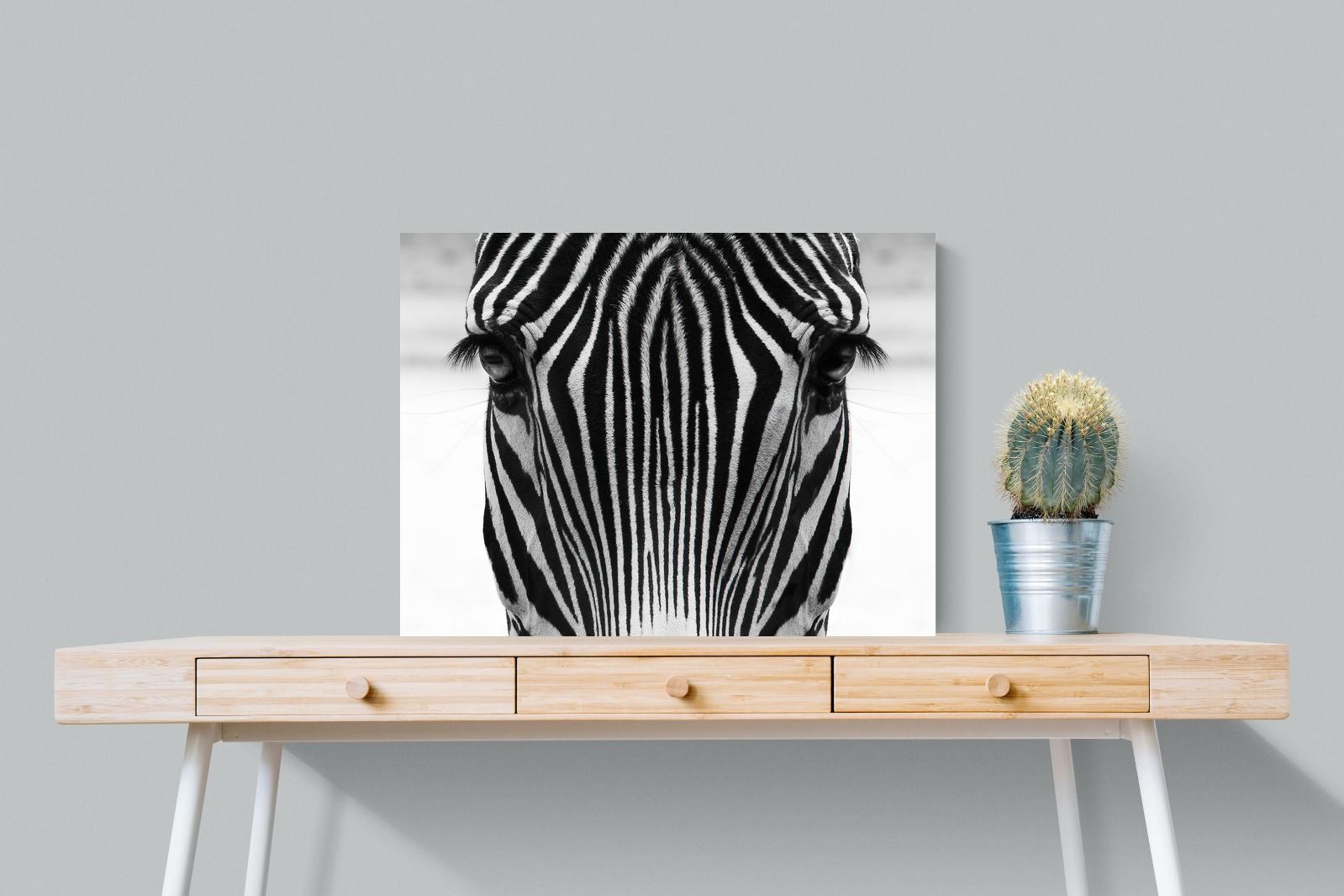 Pixalot Zebra Gaze