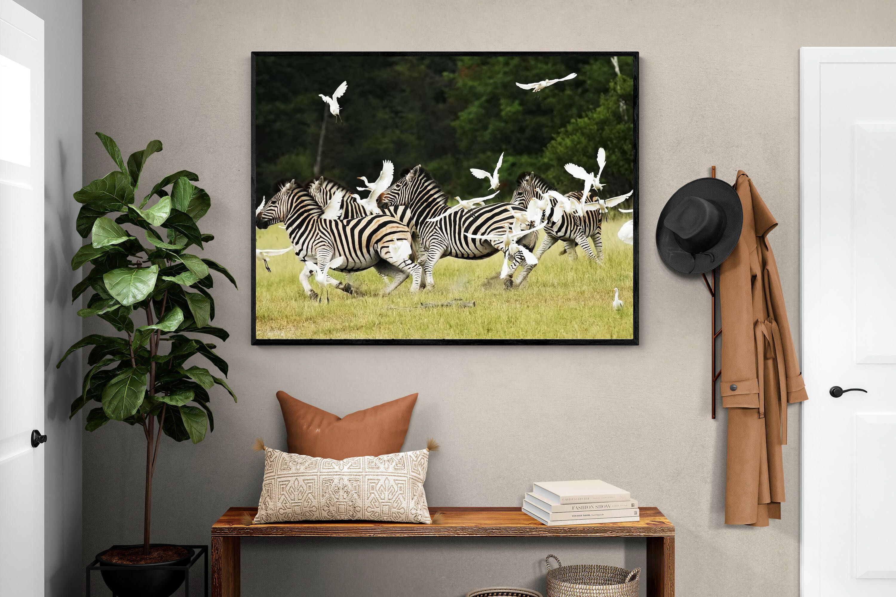 Pixalot Zebra & Herons (colour)