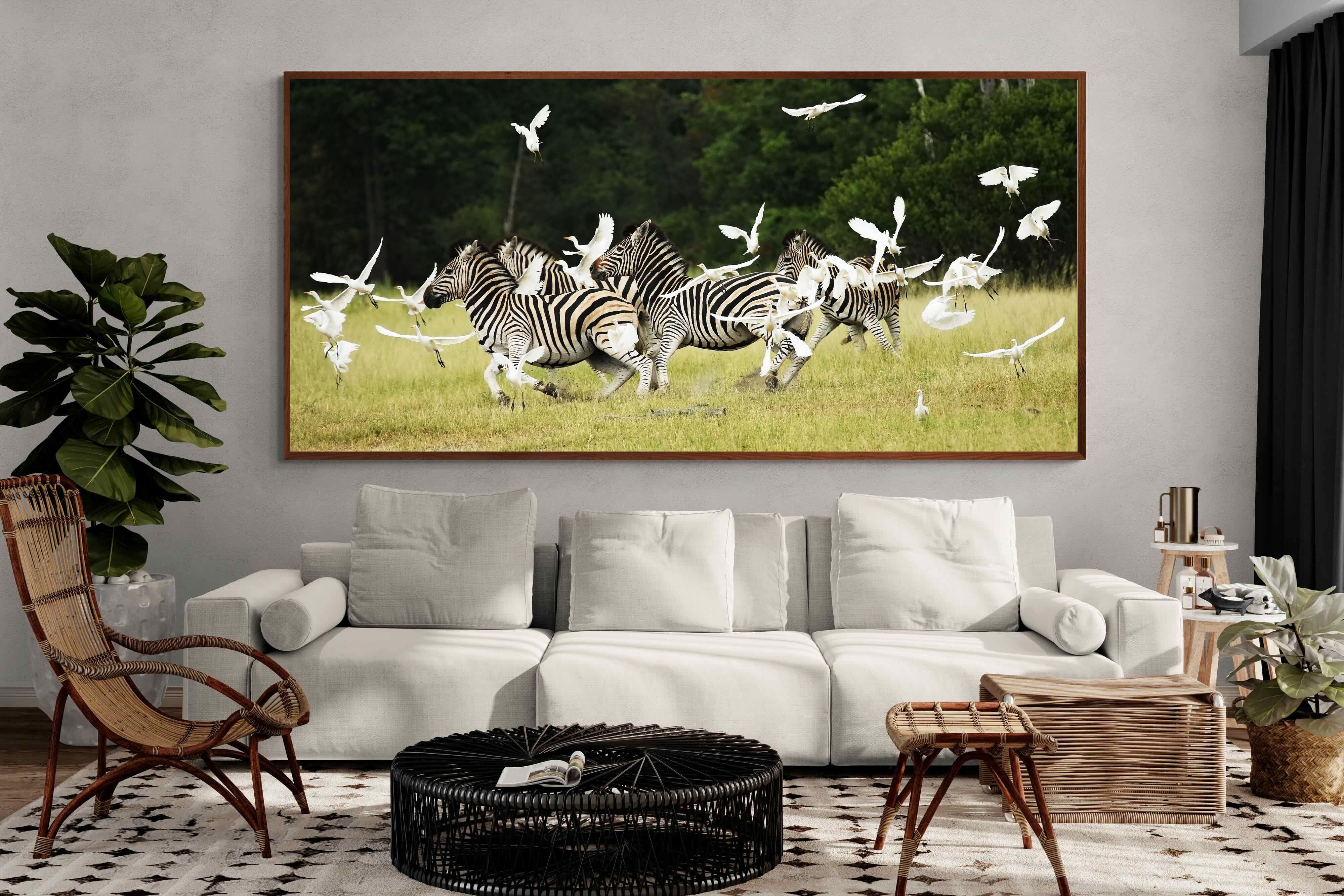 Pixalot Zebra & Herons (colour)