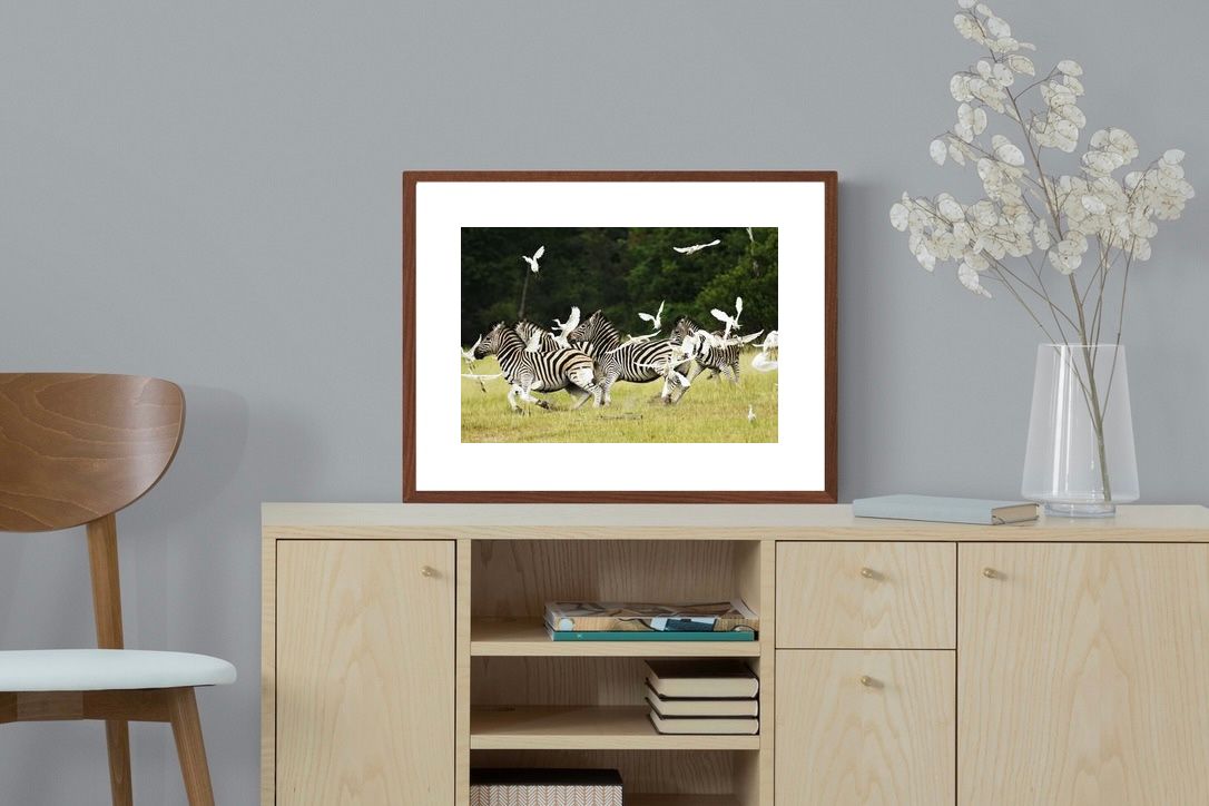 Pixalot Zebra & Herons (colour)