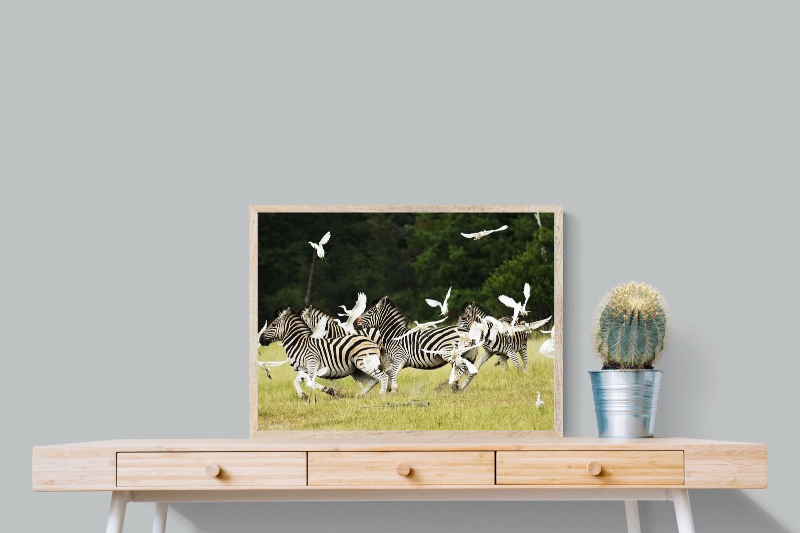Pixalot Zebra & Herons (colour)