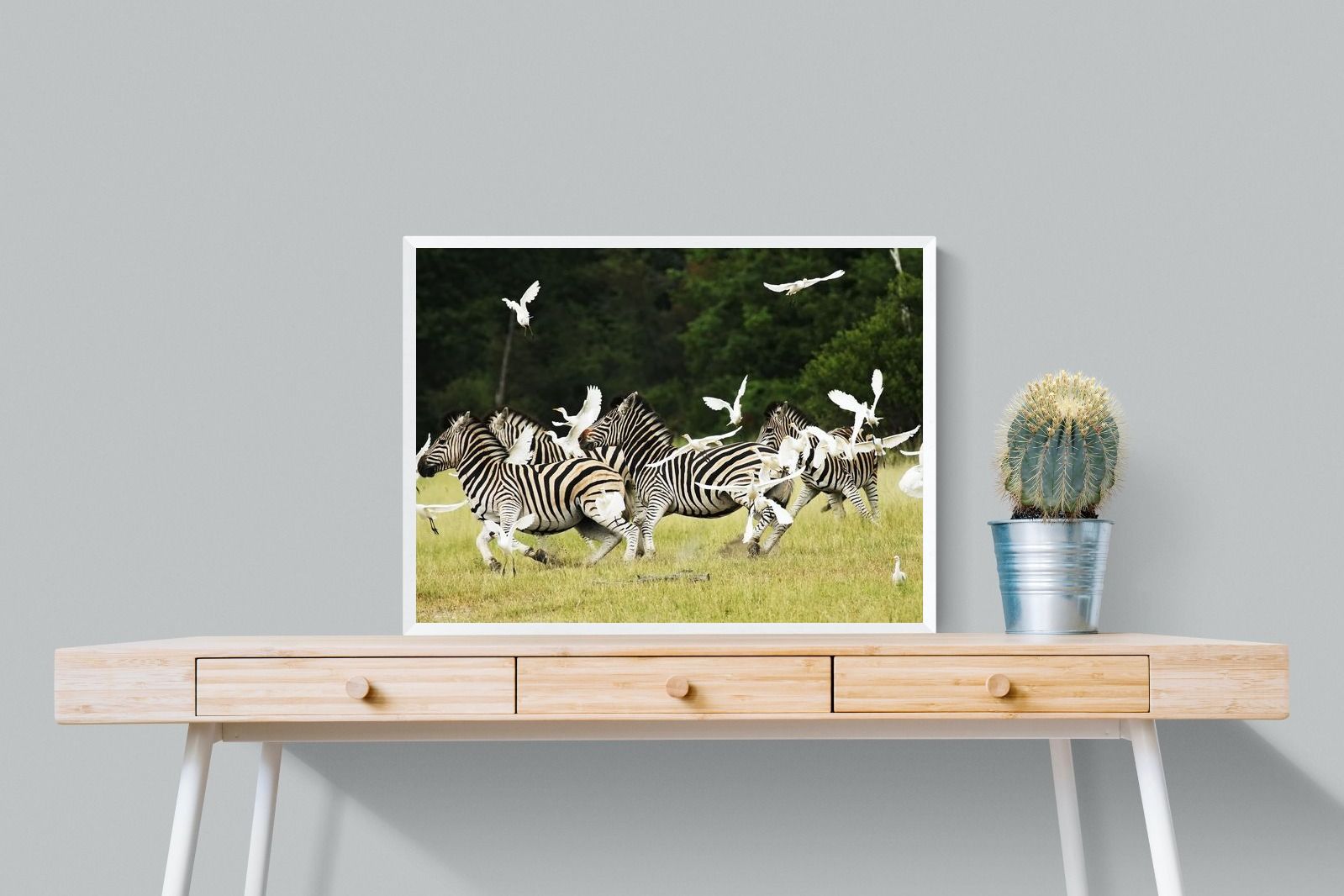 Pixalot Zebra & Herons (colour)