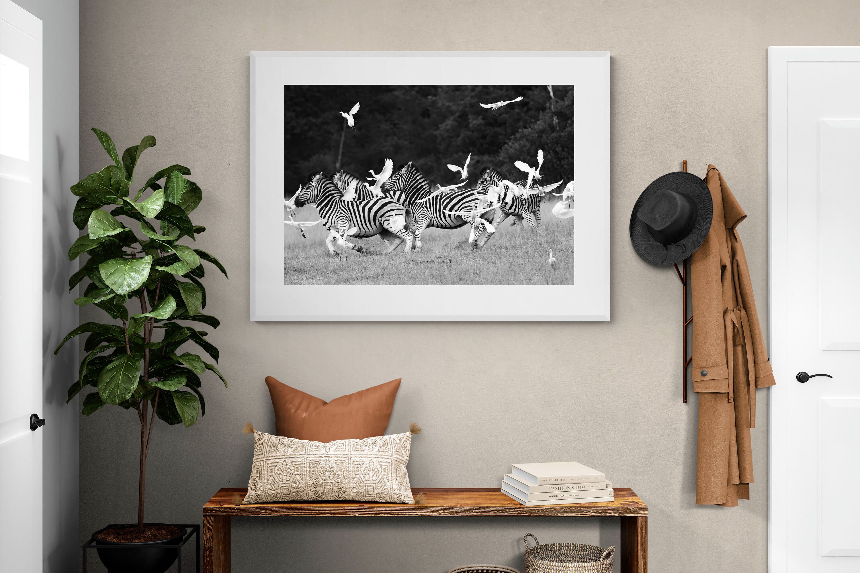 Pixalot Zebra & Herons