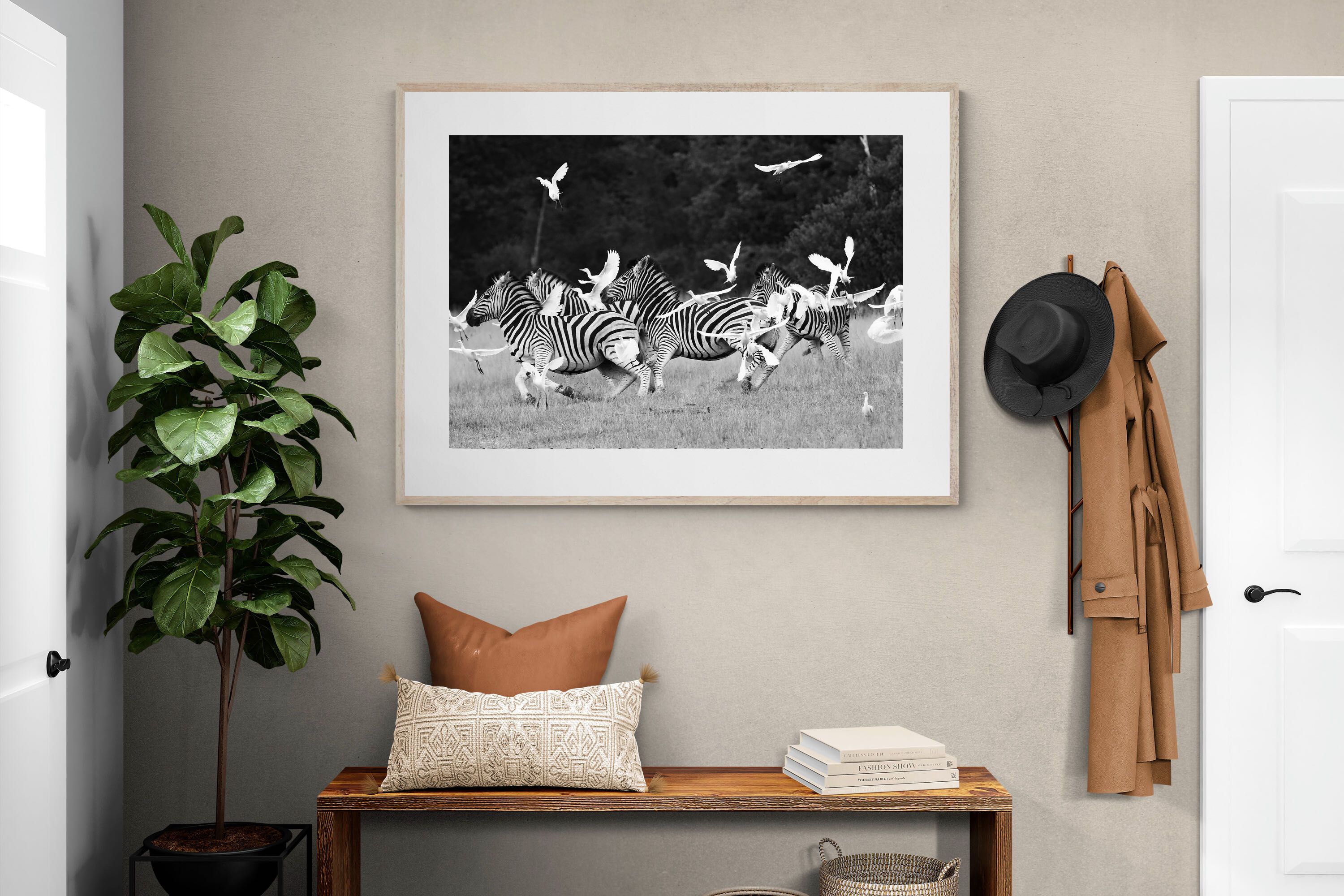 Pixalot Zebra & Herons