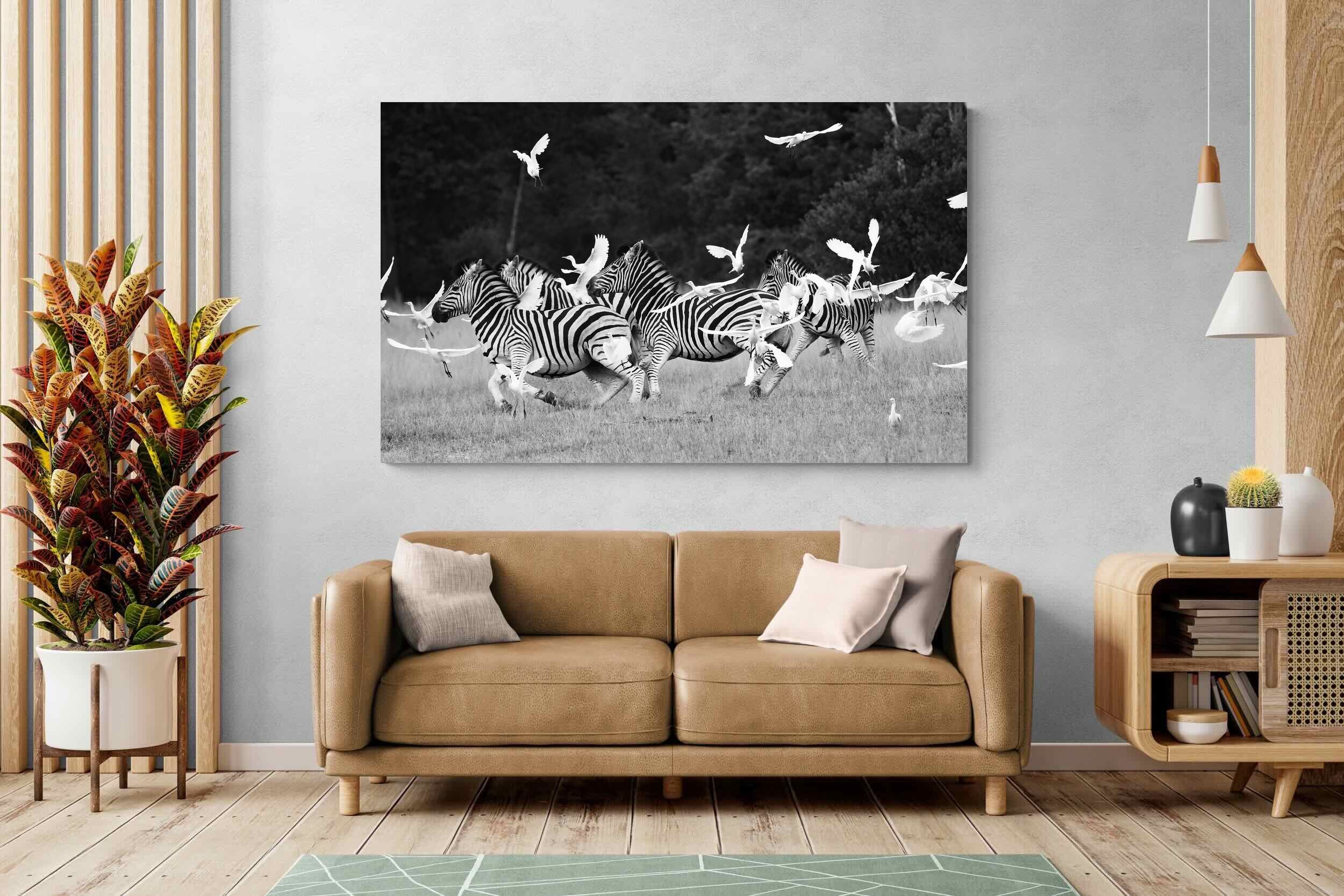 Pixalot Zebra & Herons