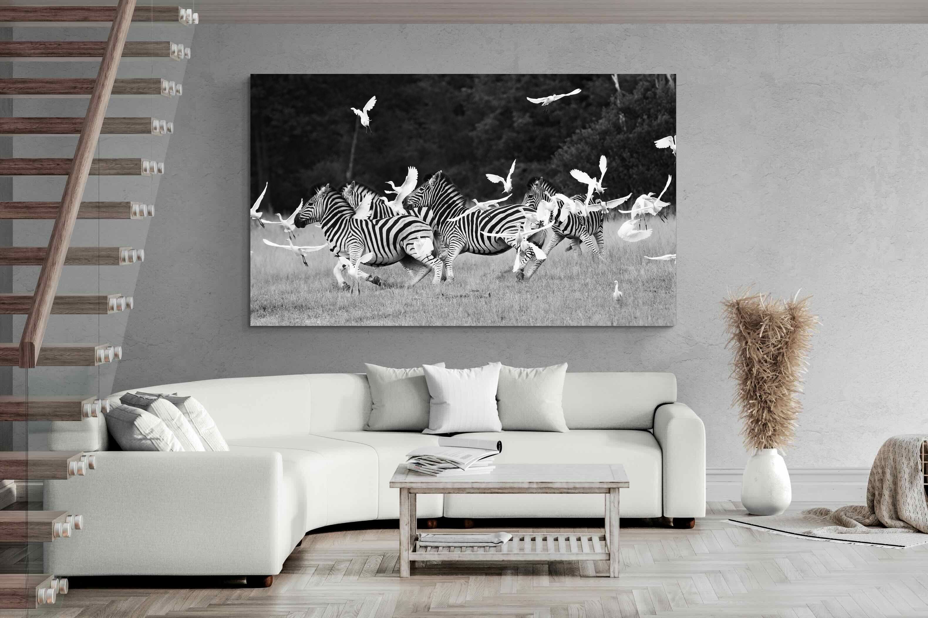Pixalot Zebra & Herons