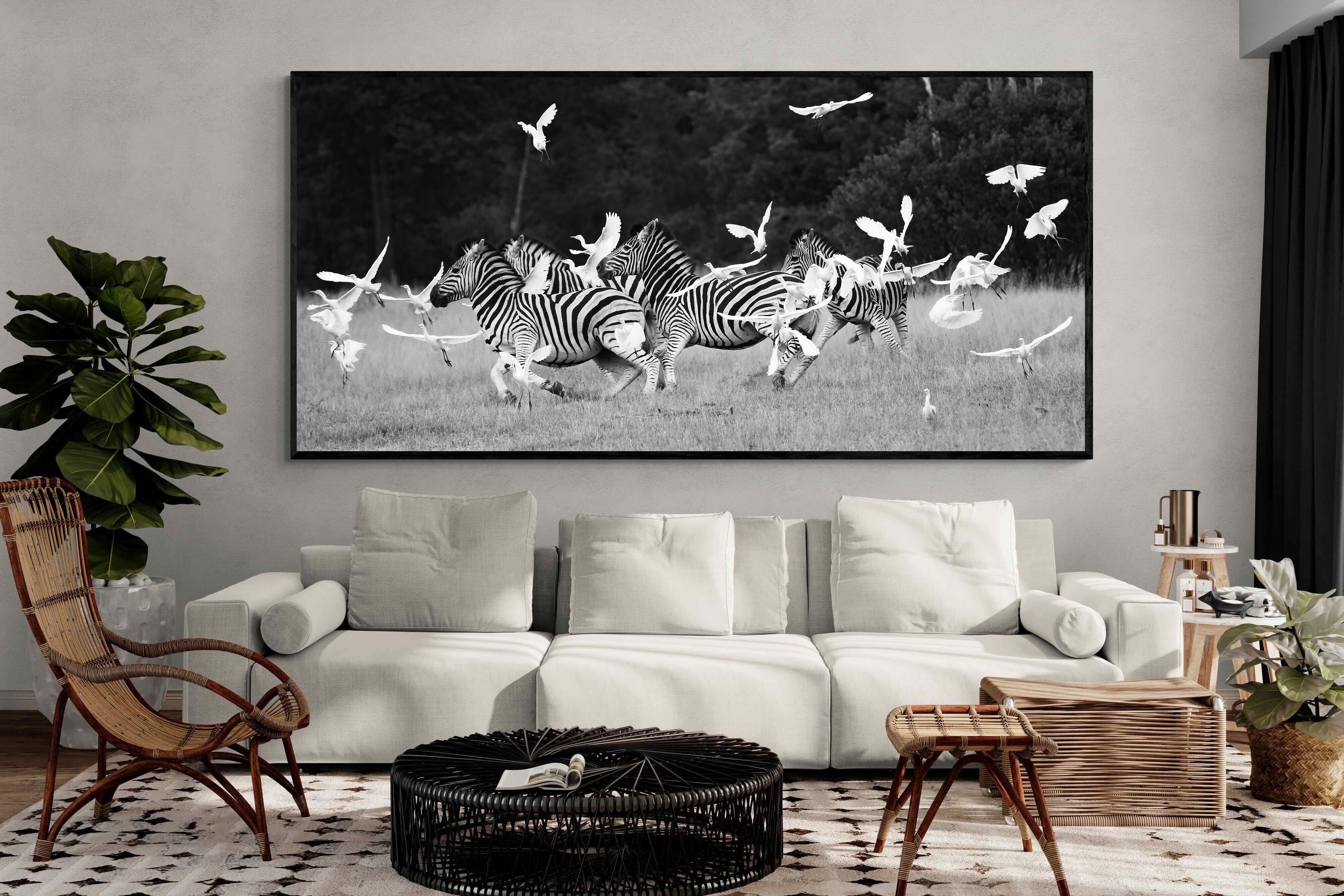 Pixalot Zebra & Herons