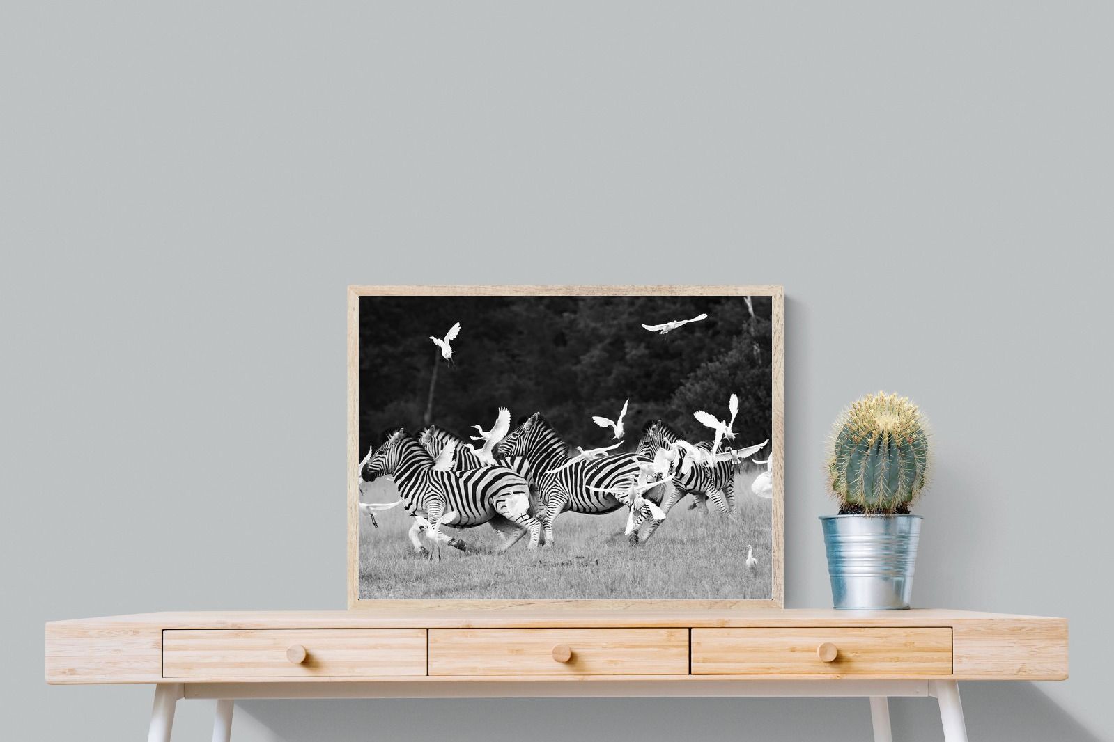 Pixalot Zebra & Herons