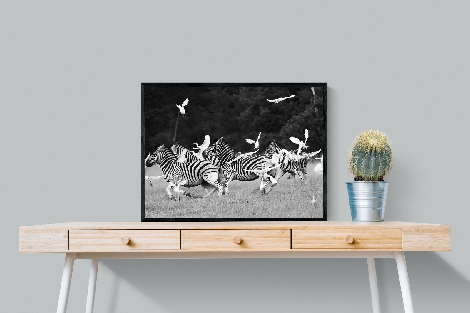 Pixalot Zebra & Herons