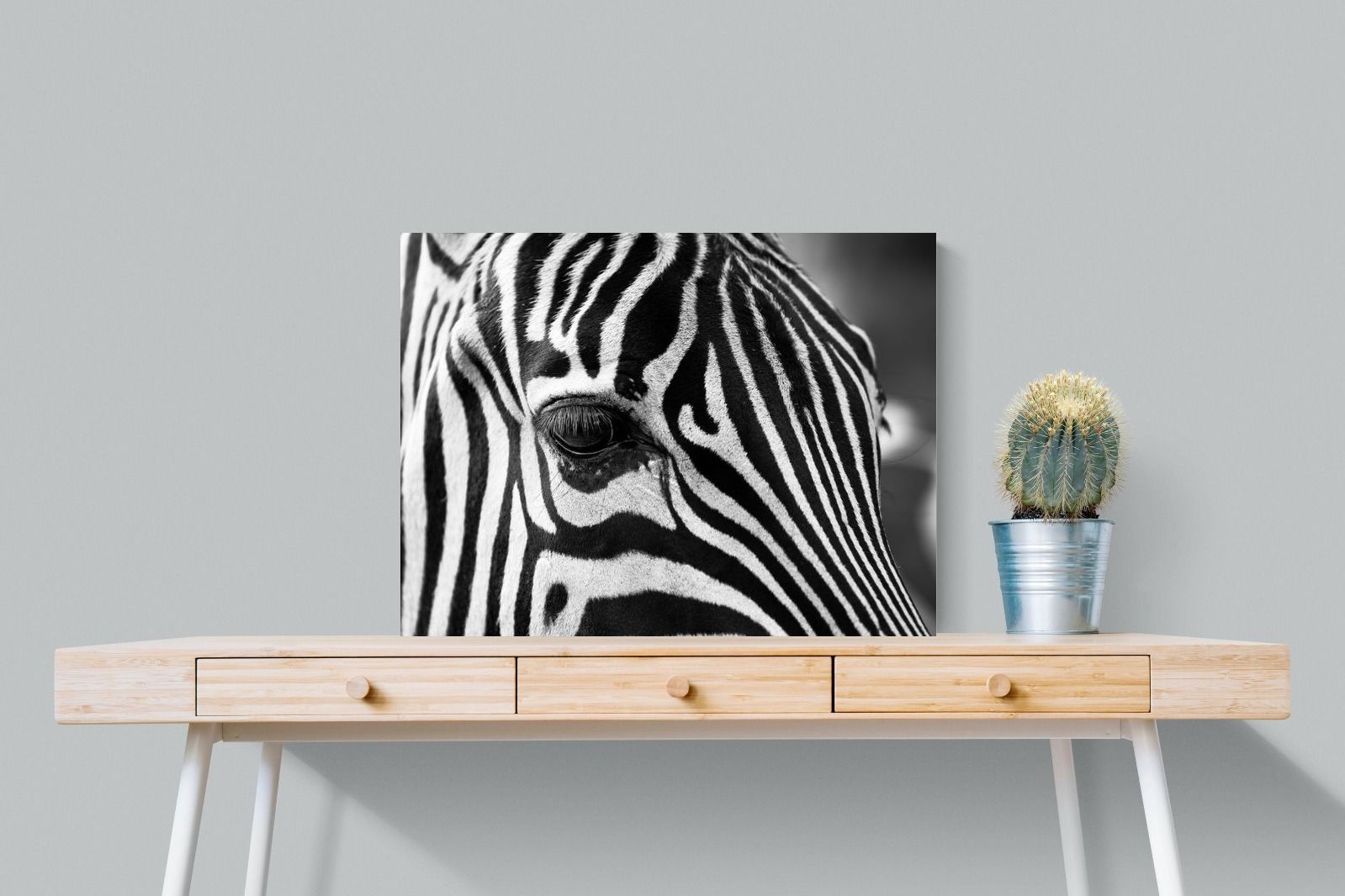 Pixalot ® Zebra