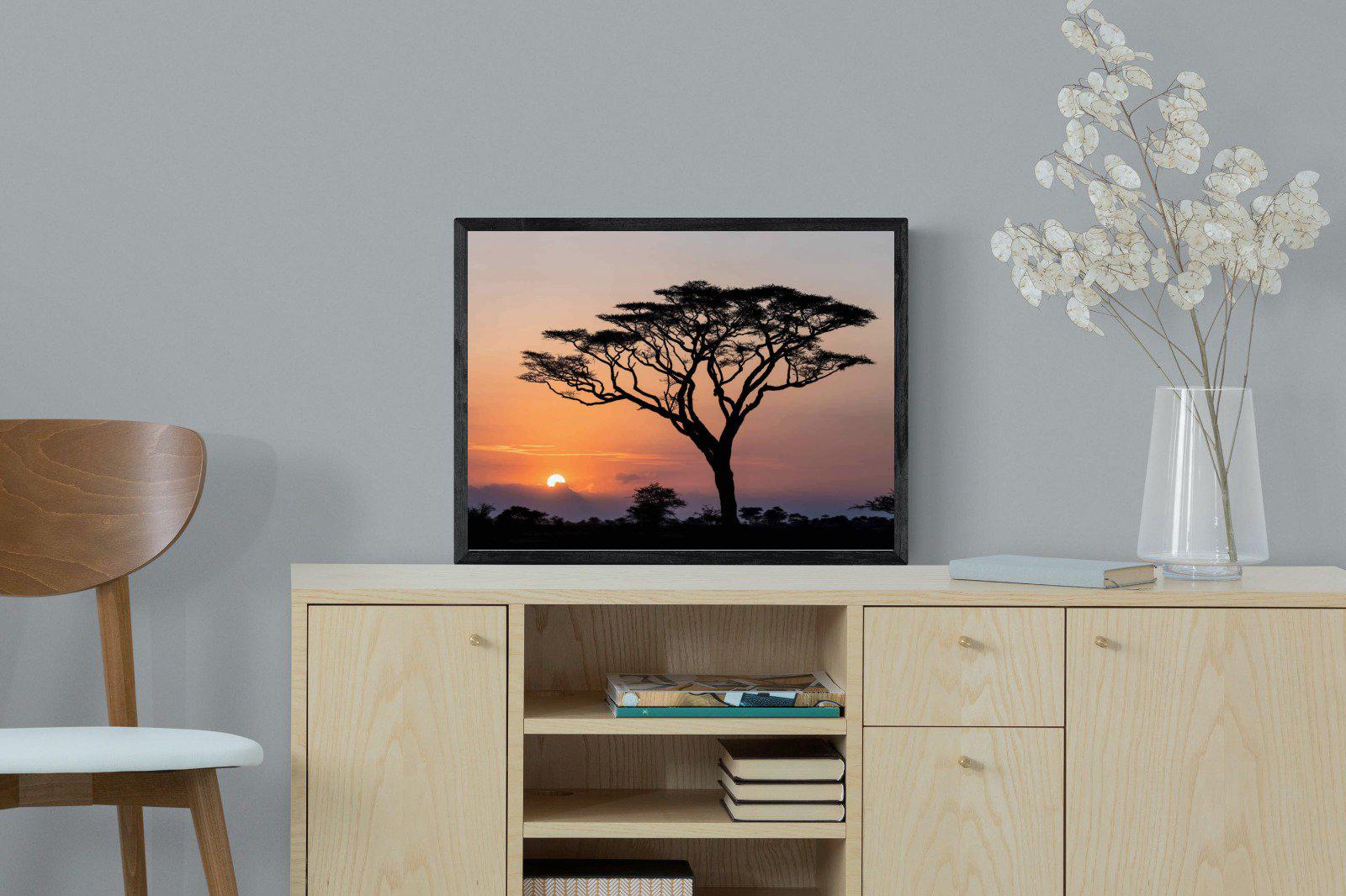 Acacia Sunset-Wall_Art-60 x 45cm-Mounted Canvas-Black-Pixalot