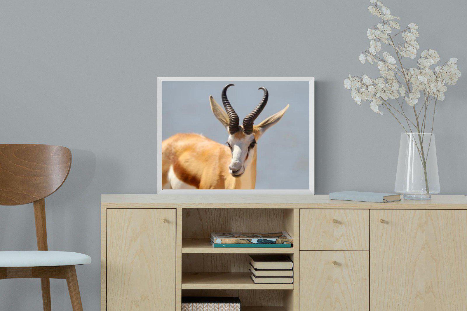 Bok-Wall_Art-60 x 45cm-Mounted Canvas-White-Pixalot