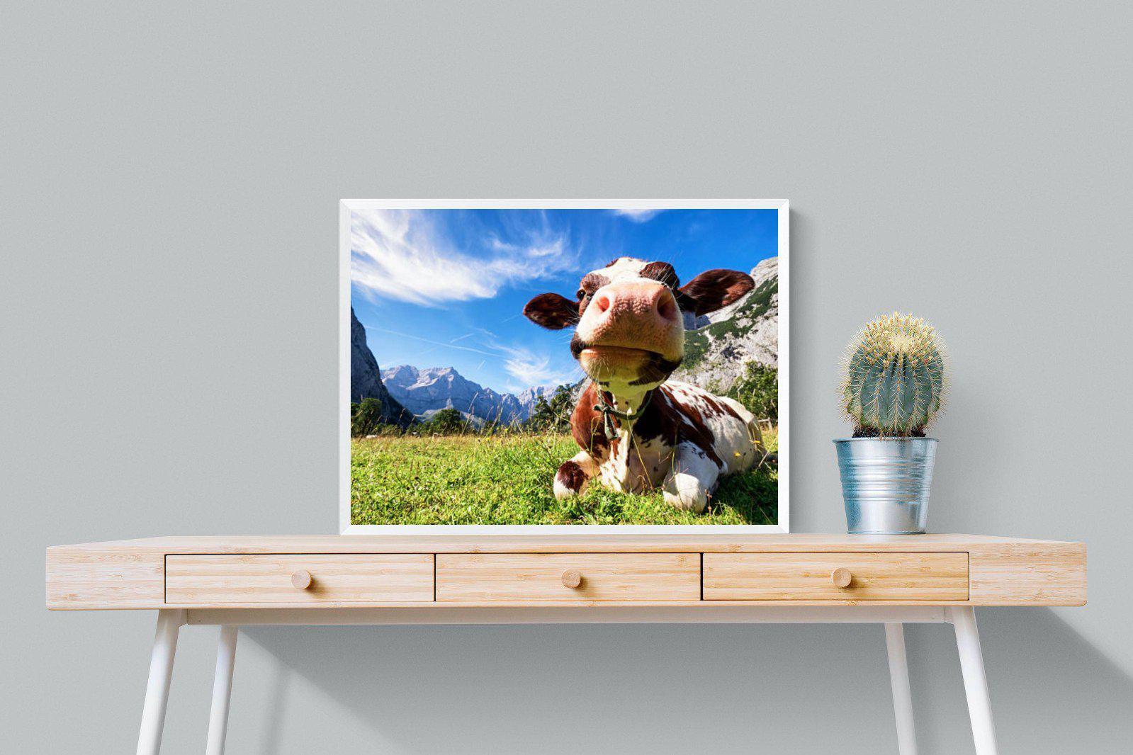 Cow-Wall_Art-80 x 60cm-Mounted Canvas-White-Pixalot