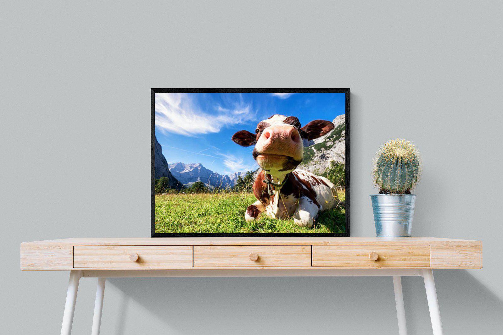 Cow-Wall_Art-80 x 60cm-Mounted Canvas-Black-Pixalot