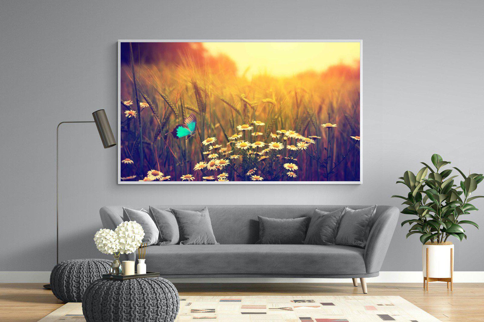 Daisy Flutter-Wall_Art-220 x 130cm-Mounted Canvas-White-Pixalot