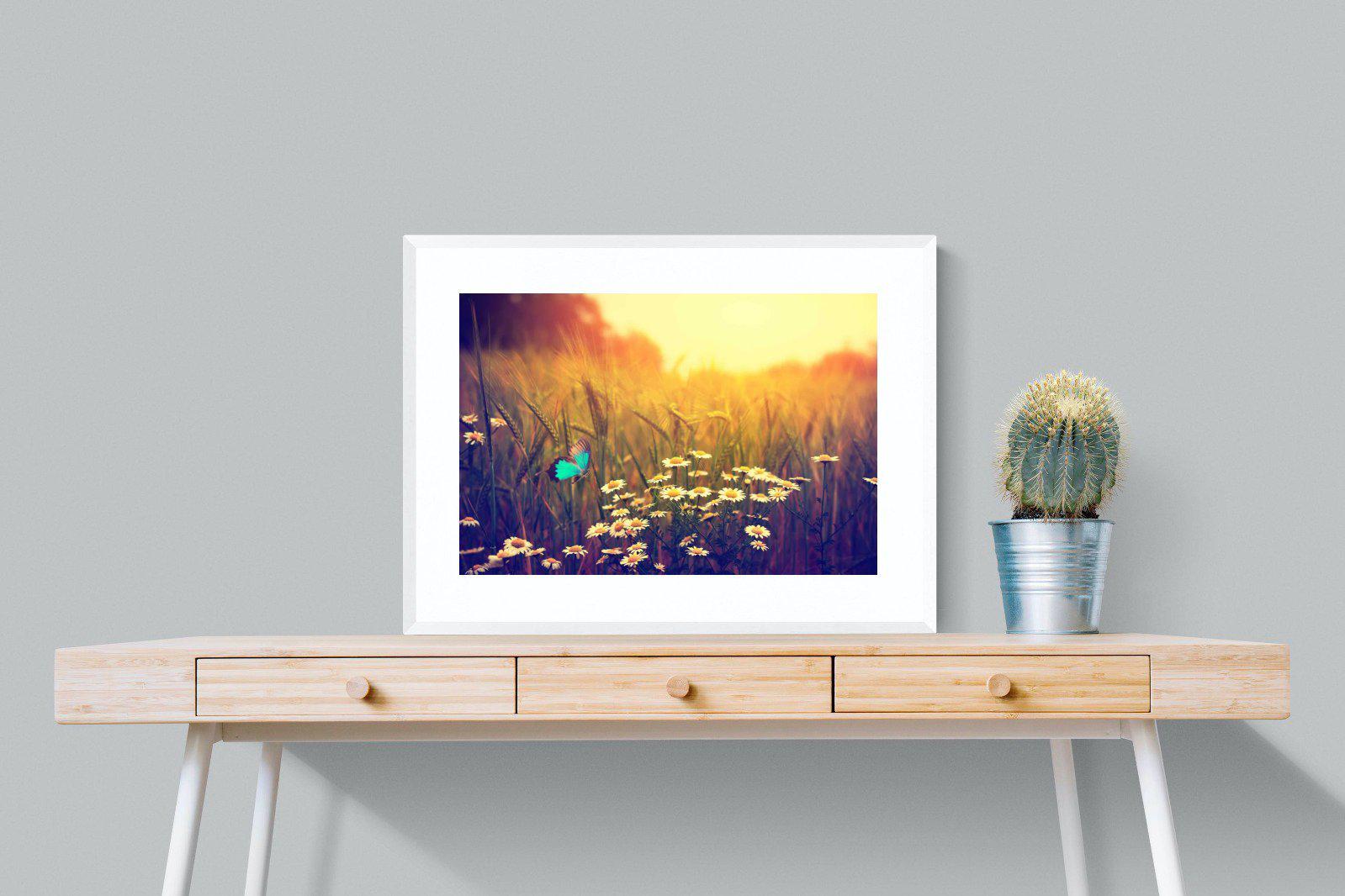 Daisy Flutter-Wall_Art-80 x 60cm-Framed Print-White-Pixalot
