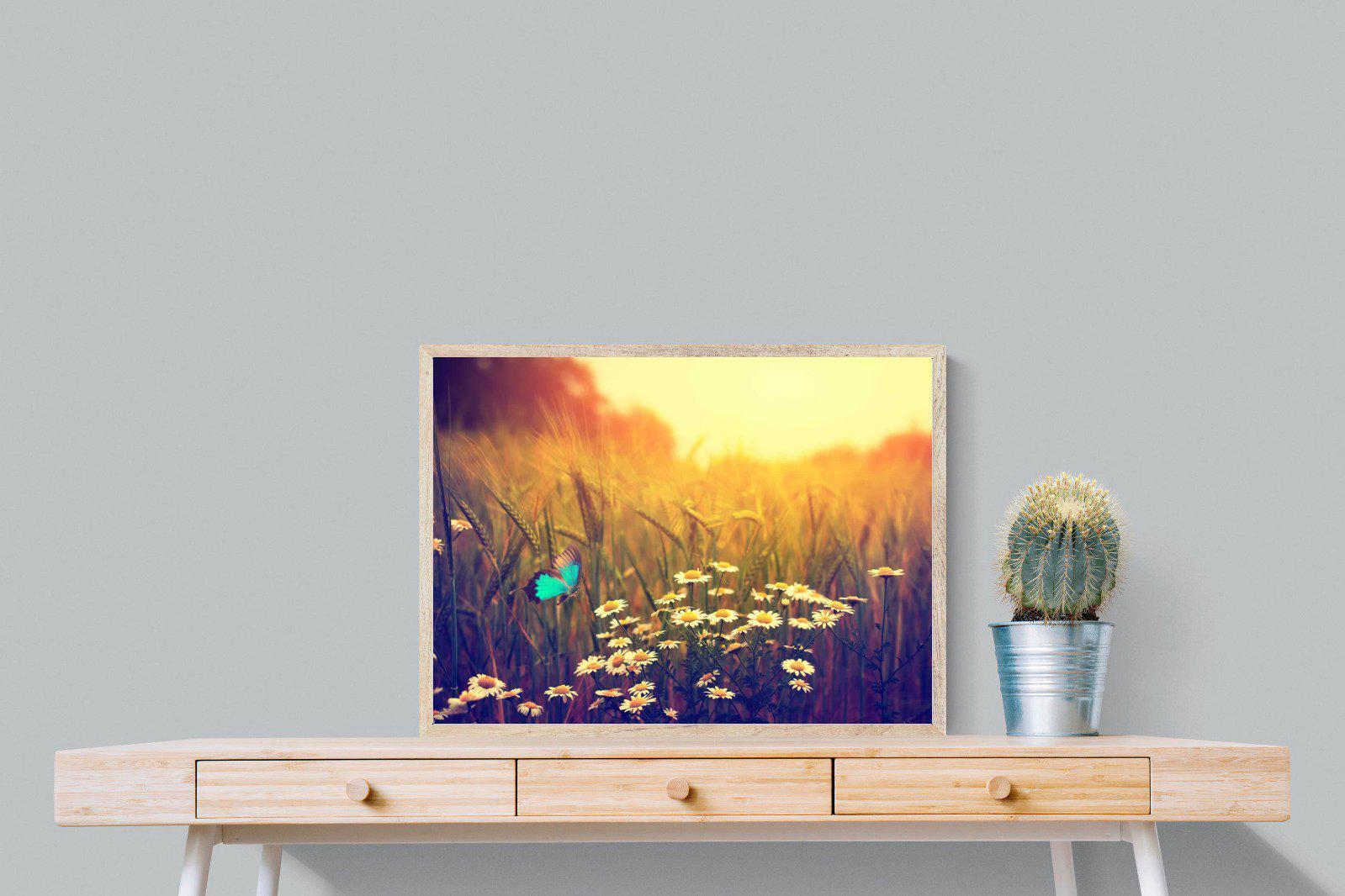 Daisy Flutter-Wall_Art-80 x 60cm-Mounted Canvas-Wood-Pixalot